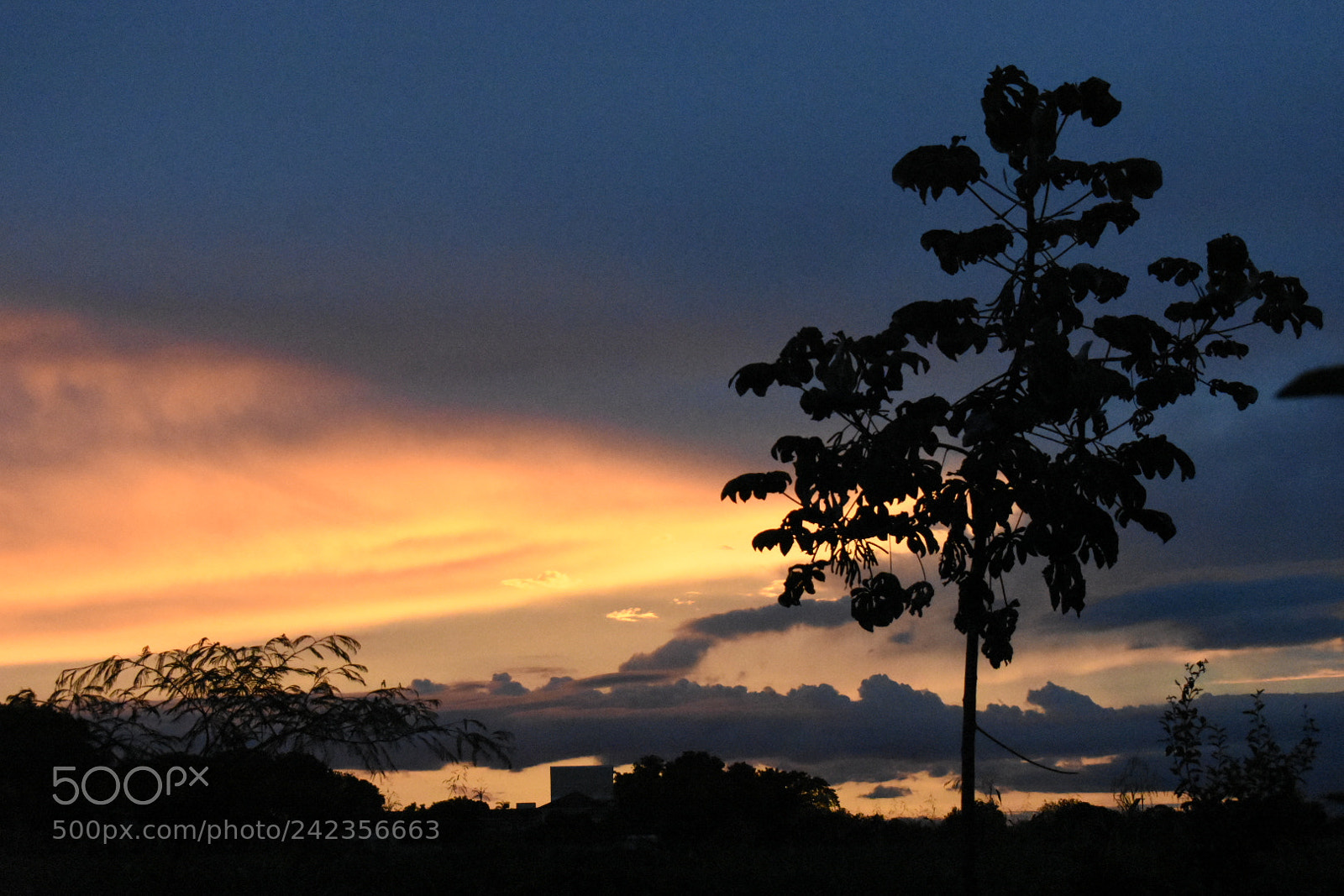 Nikon D3400 sample photo. Sunset, one more photography