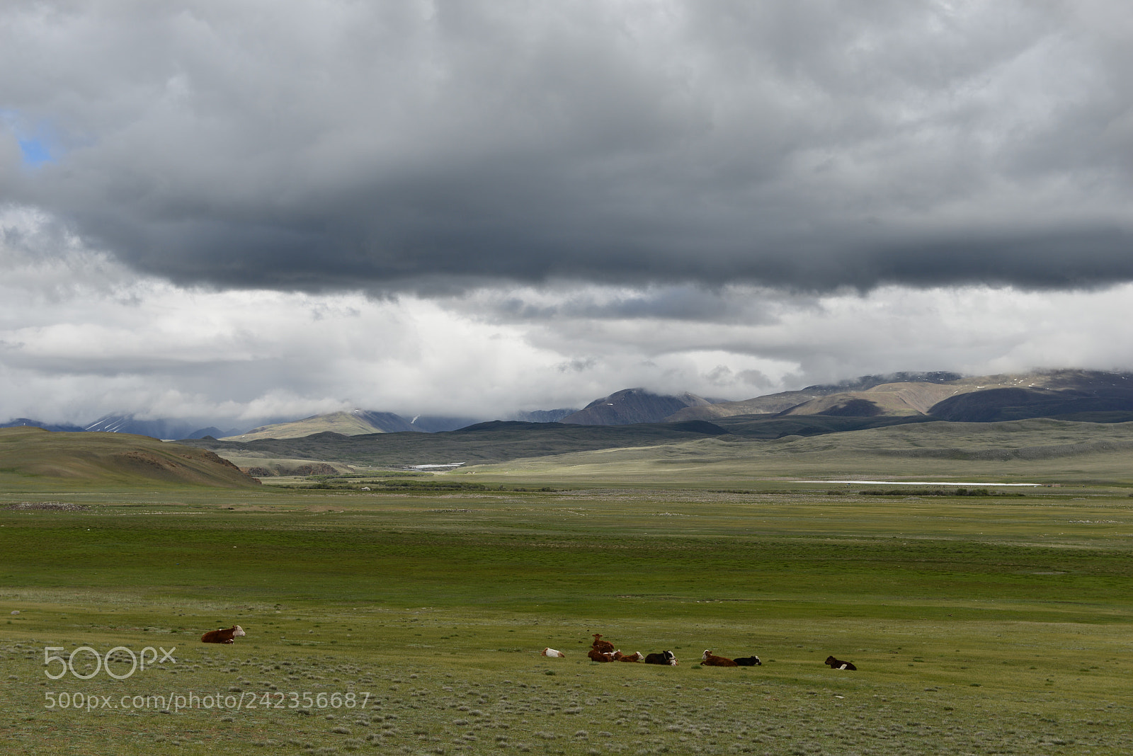 Nikon D800E sample photo. Altai photography