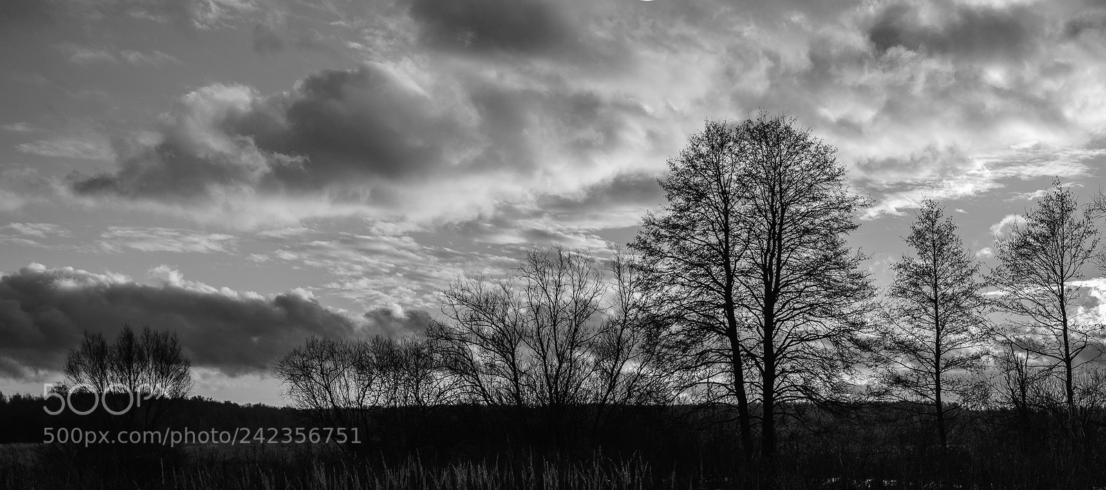 Nikon D700 sample photo. Sunset photography