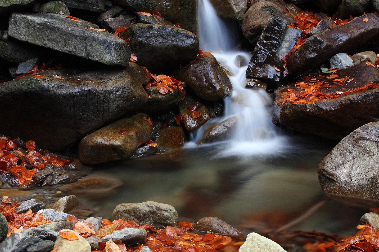 Canon EOS 450D (EOS Rebel XSi / EOS Kiss X2) sample photo. Little creek in beskydy photography