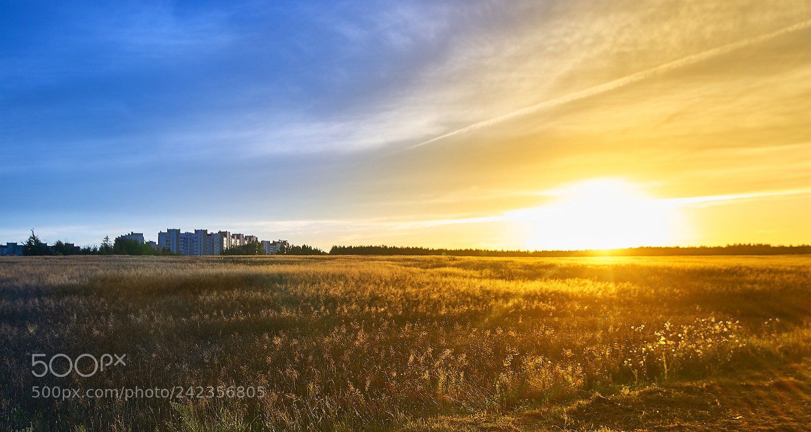 Canon EOS-1D Mark II sample photo. Sunset photography