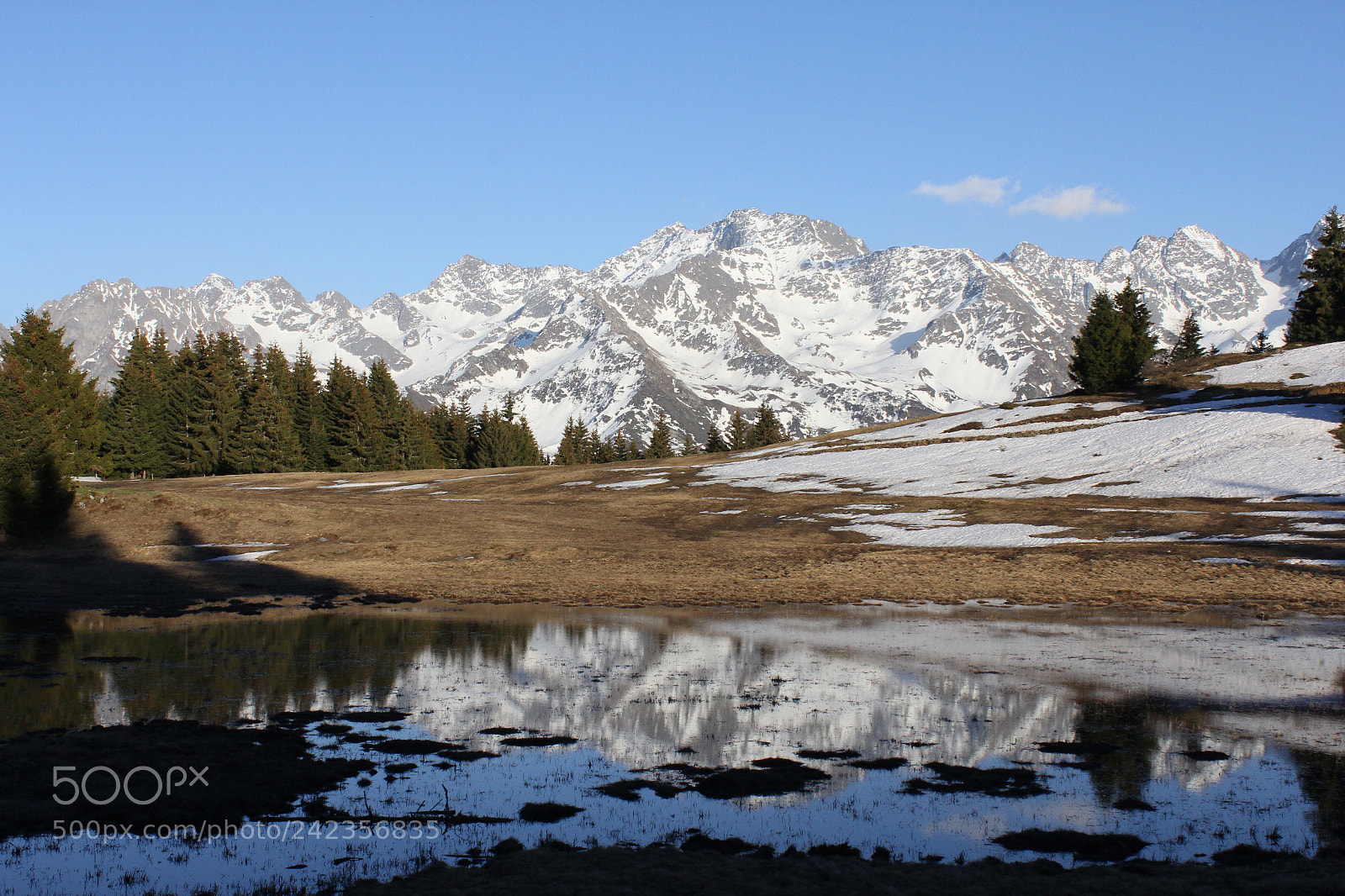 Canon EOS 60D sample photo. Cret du poulet photography