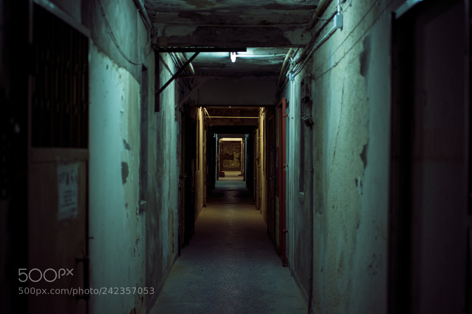 Nikon D7100 sample photo. Midnight photography