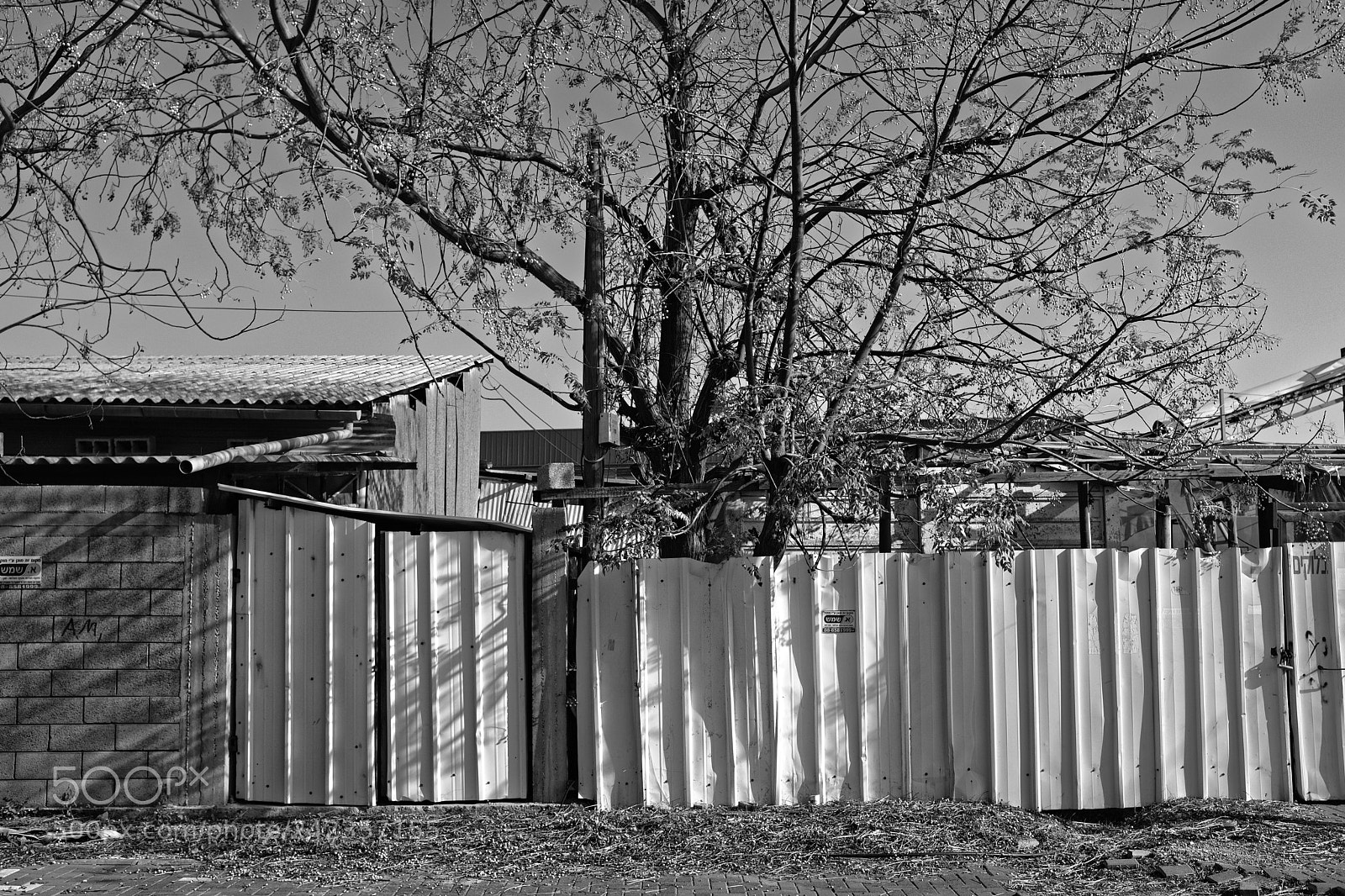 Fujifilm X100F sample photo. The fence photography