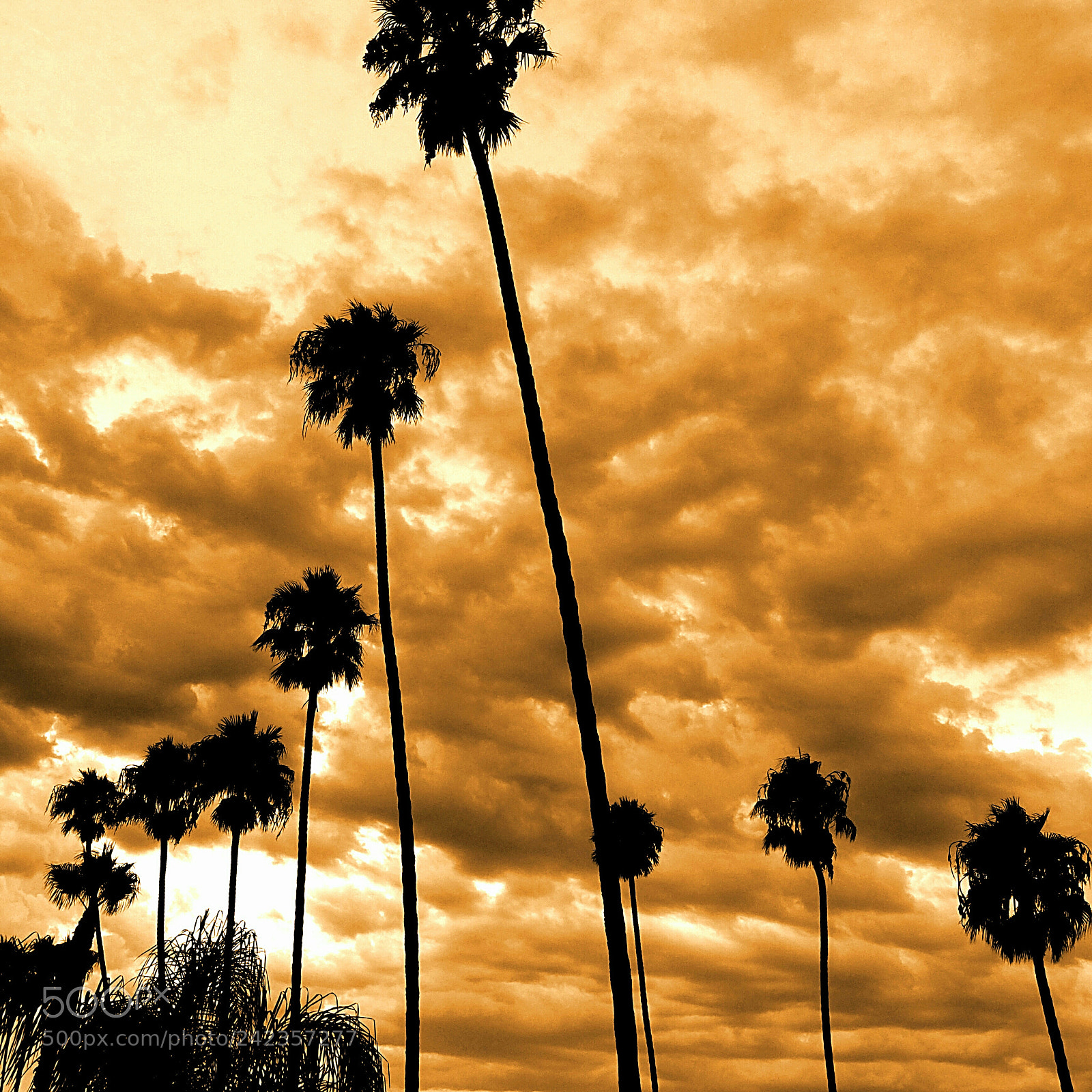 Sony Cyber-shot DSC-RX100 III sample photo. Sepia clouds photography