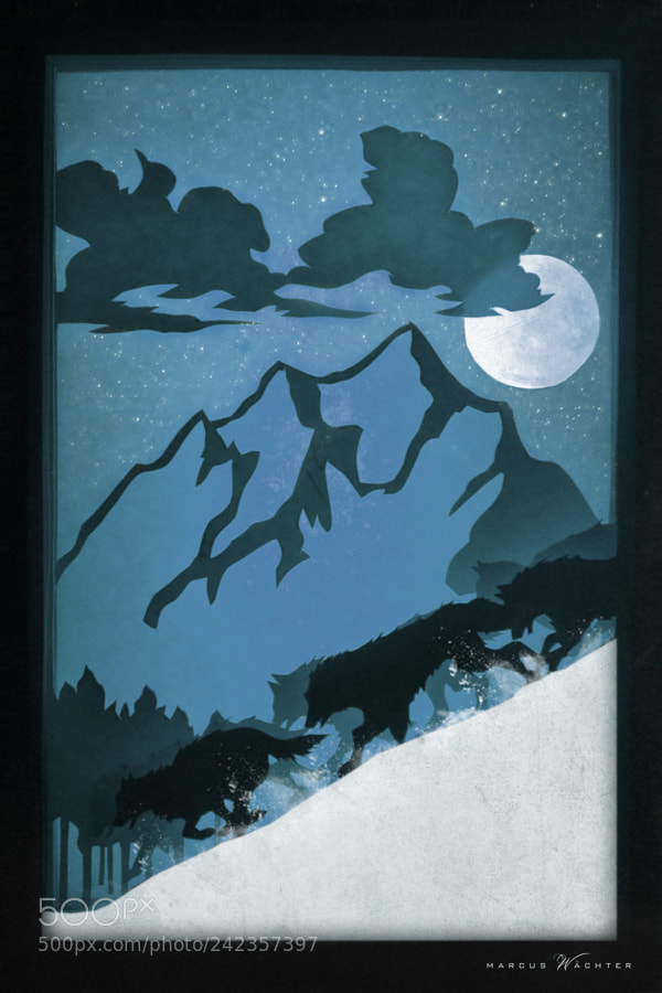 Nikon D3100 sample photo. Papercut - snow wolves photography