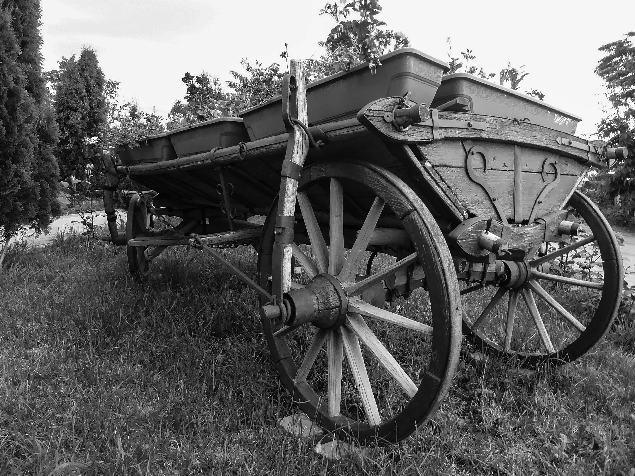 Panasonic Lumix DMC-ZS50 (Lumix DMC-TZ70) sample photo. Rural photography