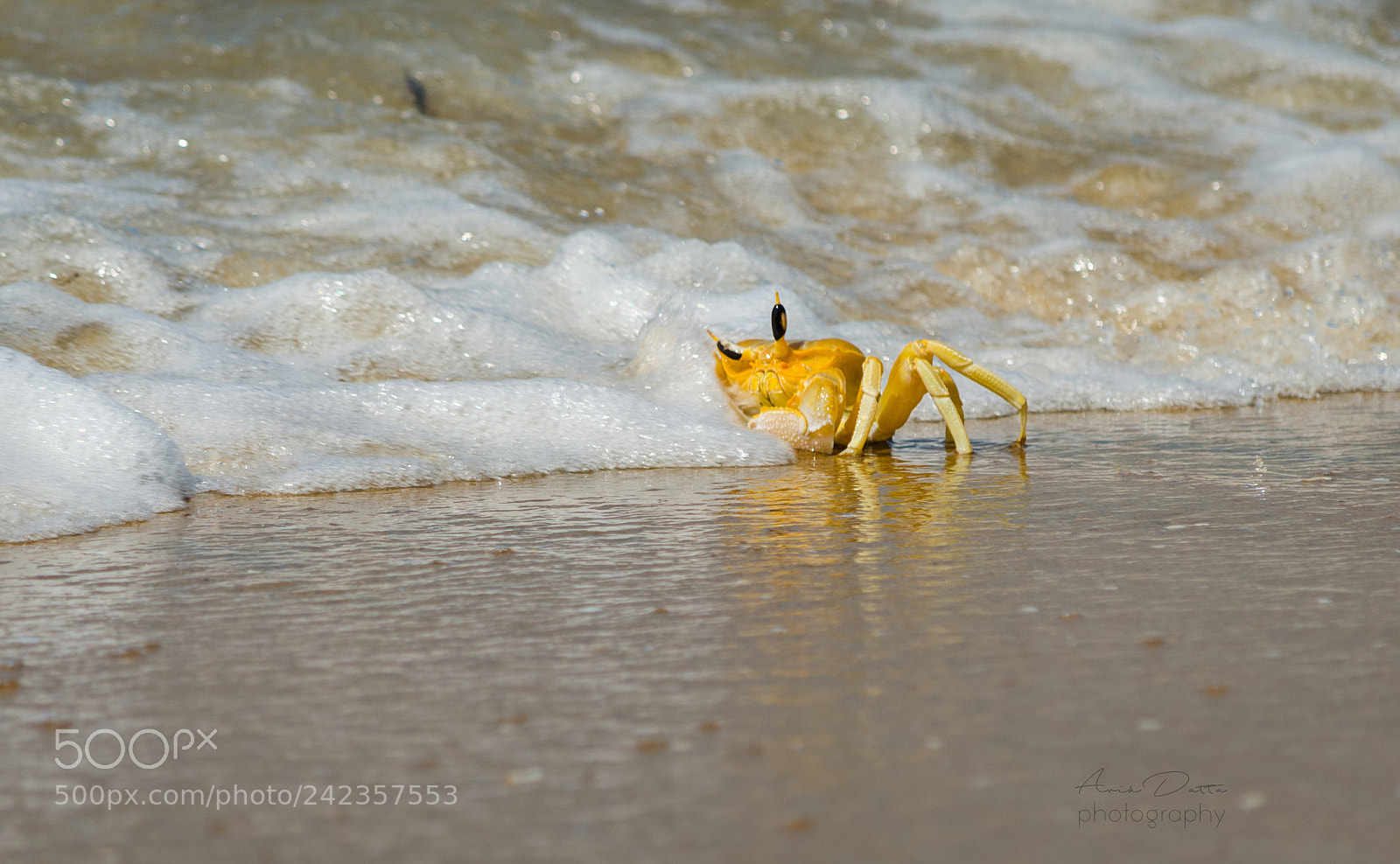 Nikon D5100 sample photo. Dodging the waves photography