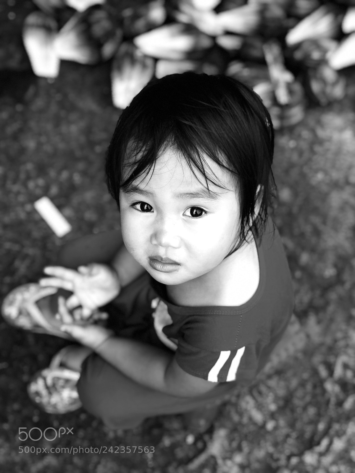 Apple iPhone 7 Plus sample photo. Untitled photography