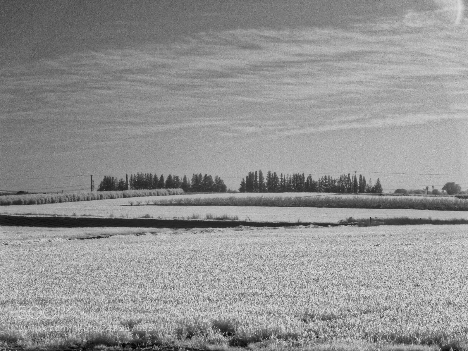 Panasonic Lumix DMC-ZS50 (Lumix DMC-TZ70) sample photo. White fields photography