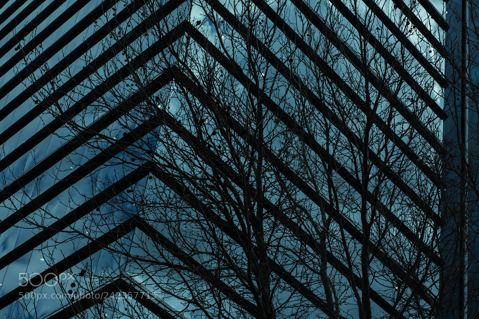 Canon EOS 700D (EOS Rebel T5i / EOS Kiss X7i) sample photo. Winter photography