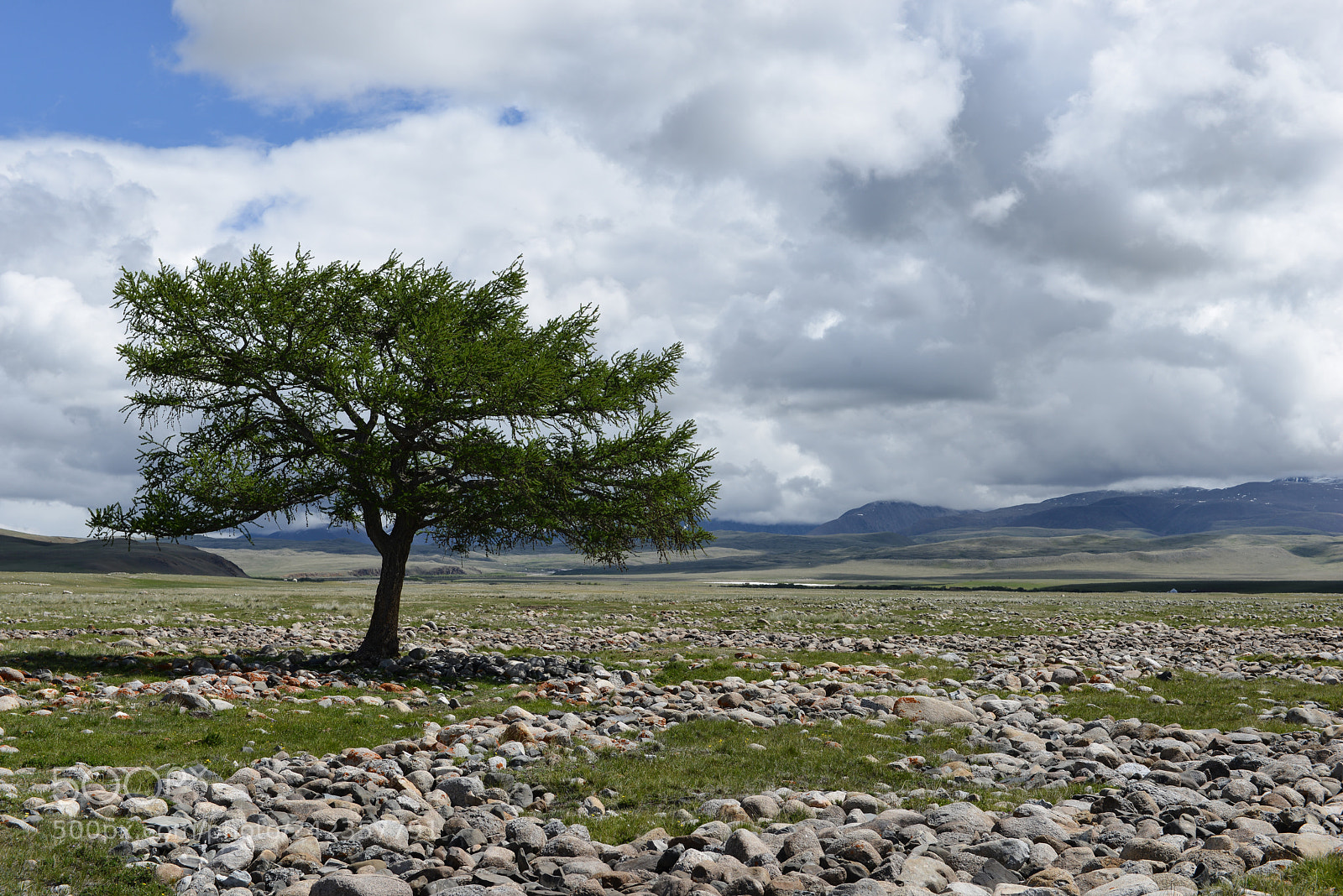 Nikon D800E sample photo. Altai photography
