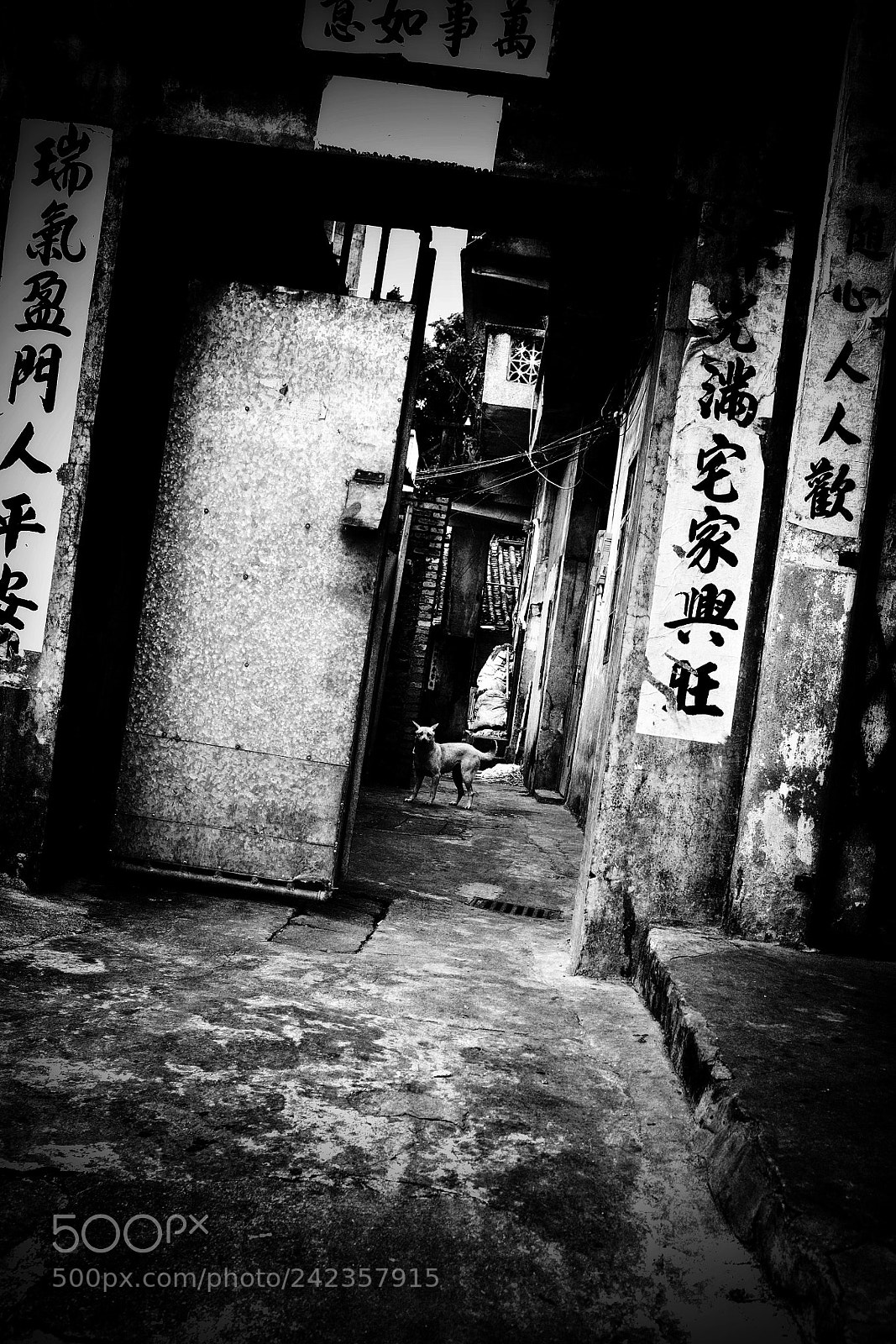 Ricoh GR II sample photo. Untitled photography