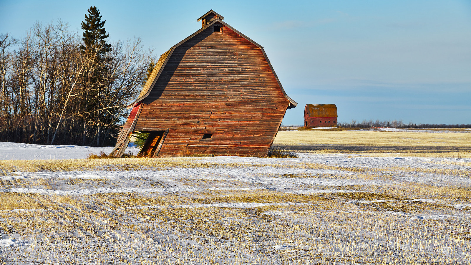 Nikon D850 sample photo. Old leaning barn end photography