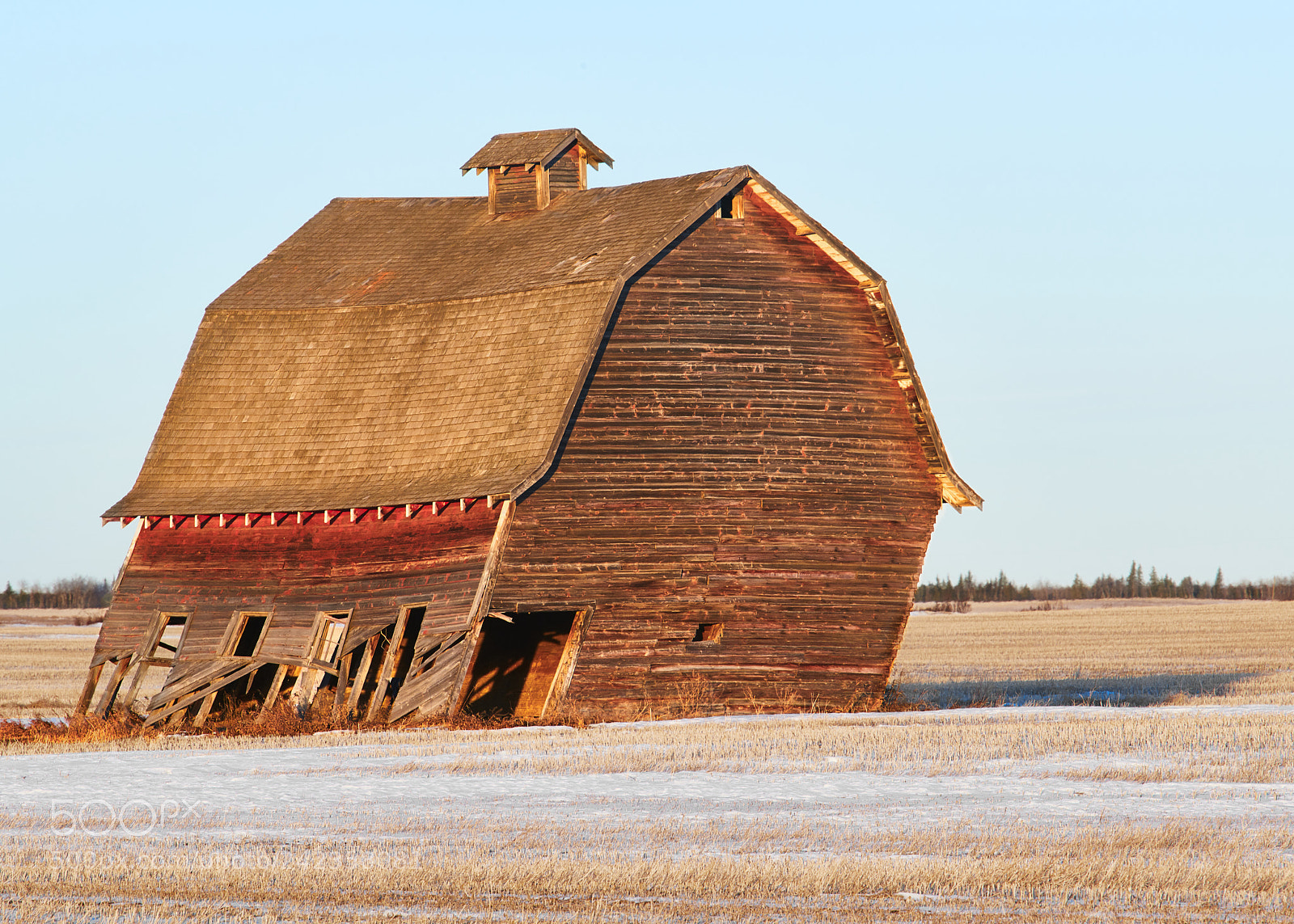 Nikon D850 sample photo. Old leaning barn side photography