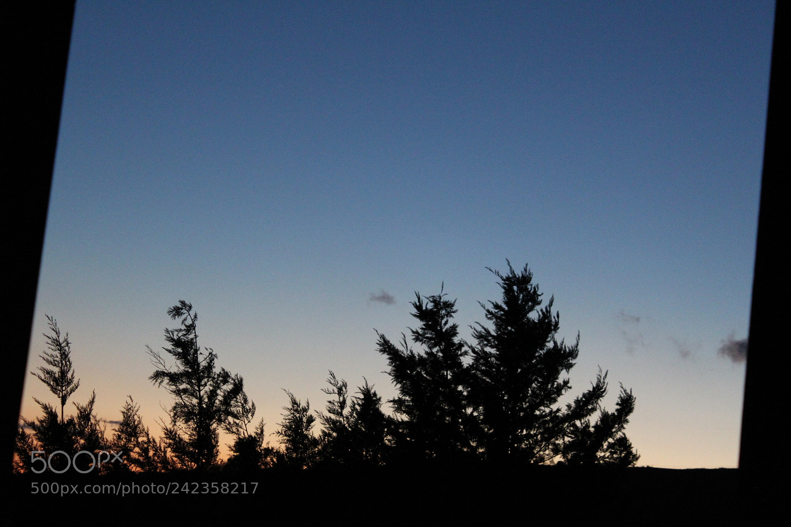 Canon EF-S 18-55mm F3.5-5.6 III sample photo. Untitled photography