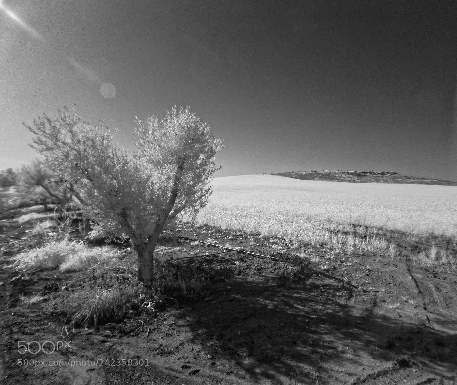 Panasonic Lumix DMC-ZS50 (Lumix DMC-TZ70) sample photo. To the horizon photography