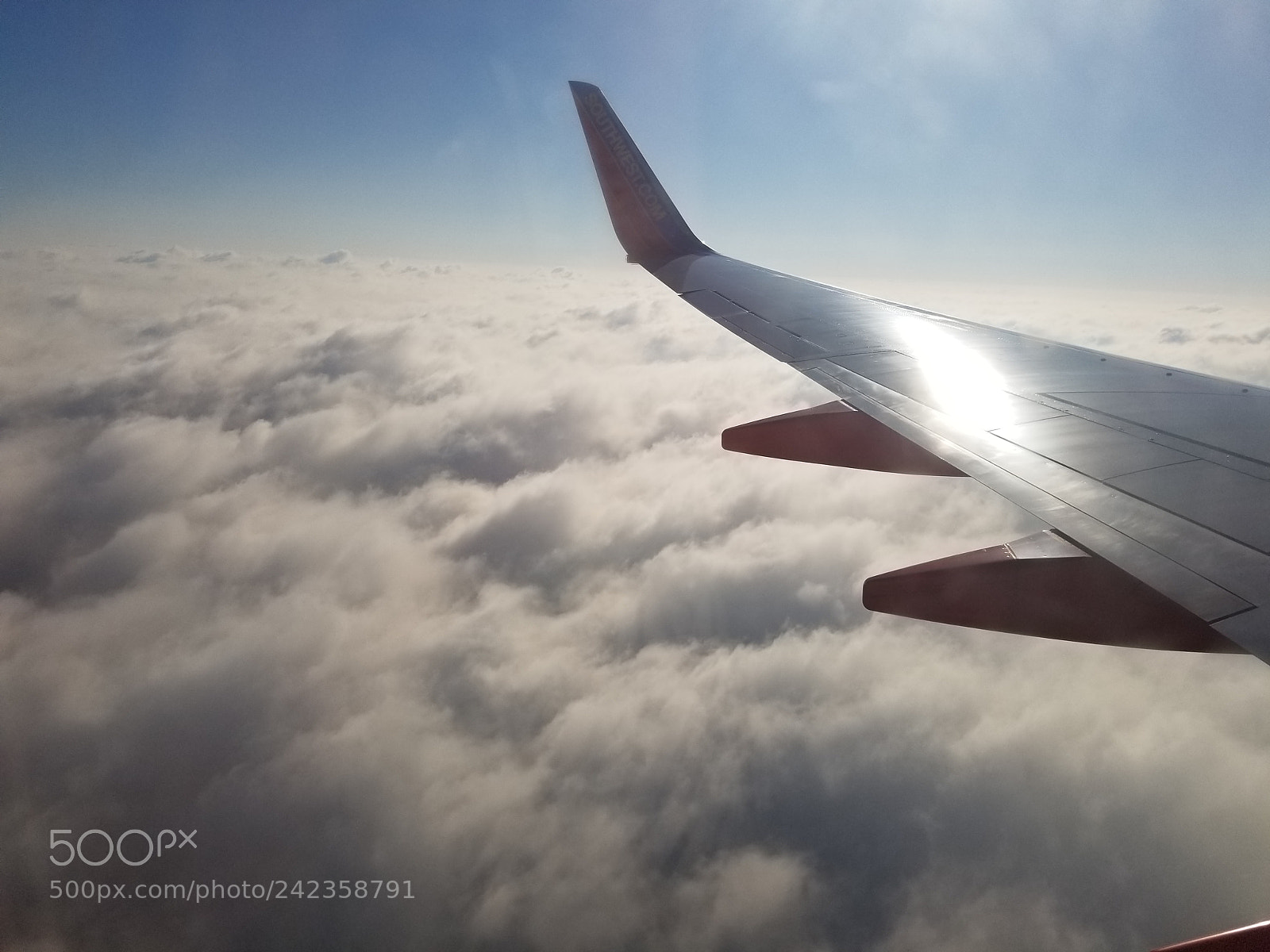 Samsung Galaxy S8+ sample photo. Untitled photography