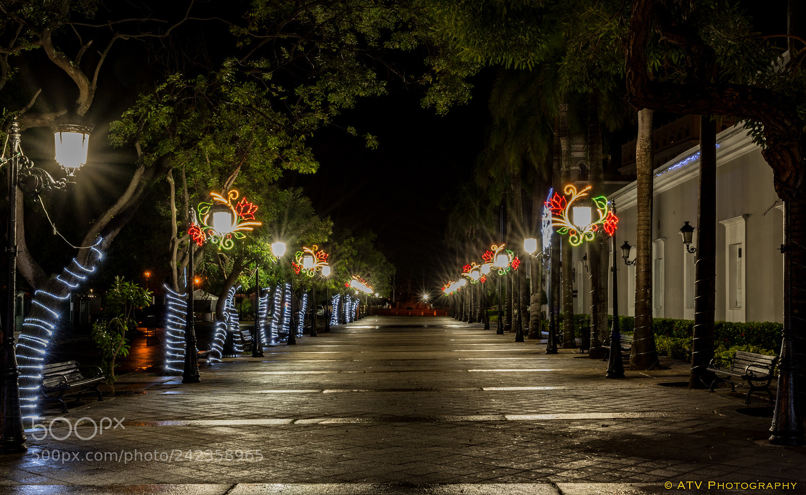 Nikon D7100 sample photo. Paseo la princesa at photography