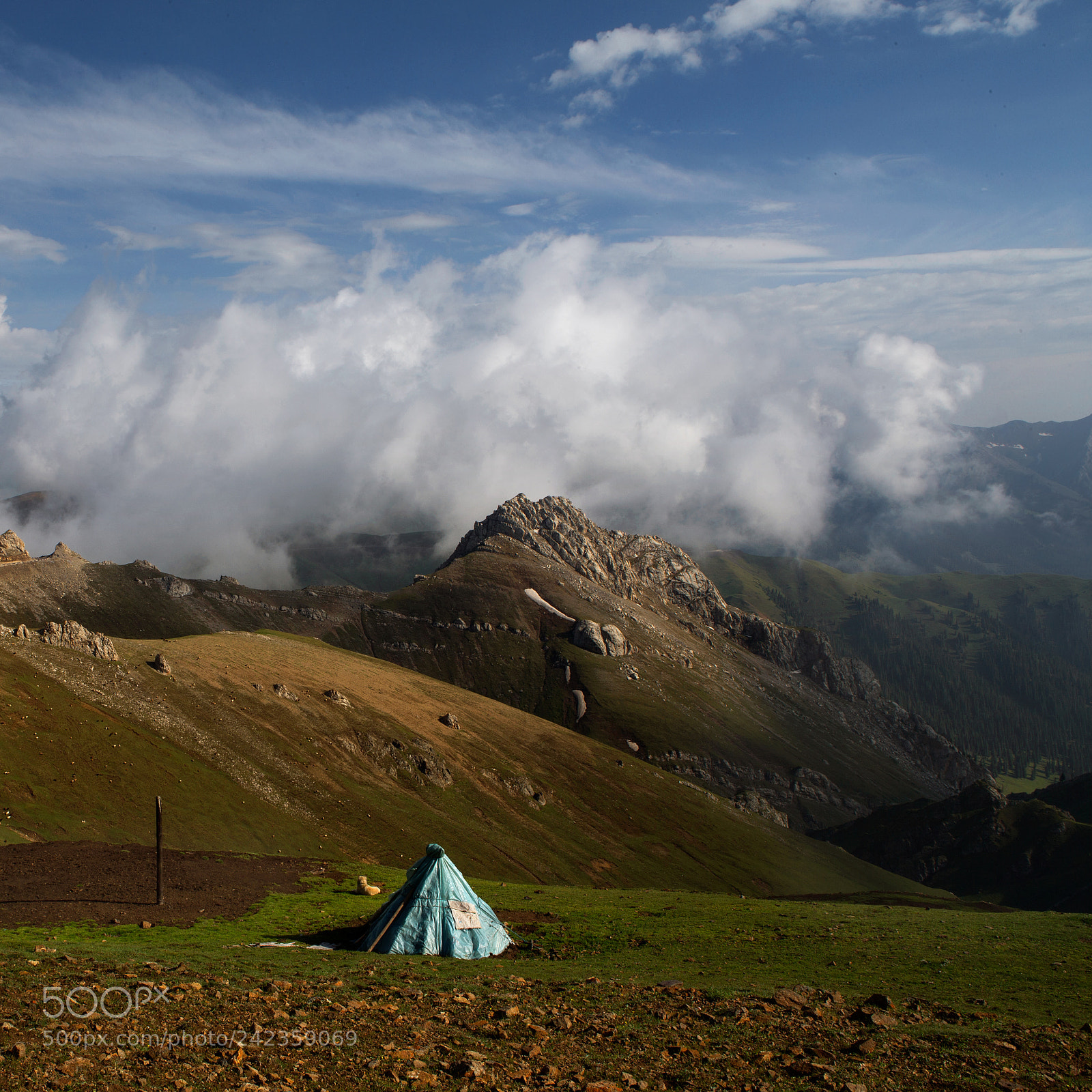 Canon EOS-1D X sample photo. Beautiful view photography