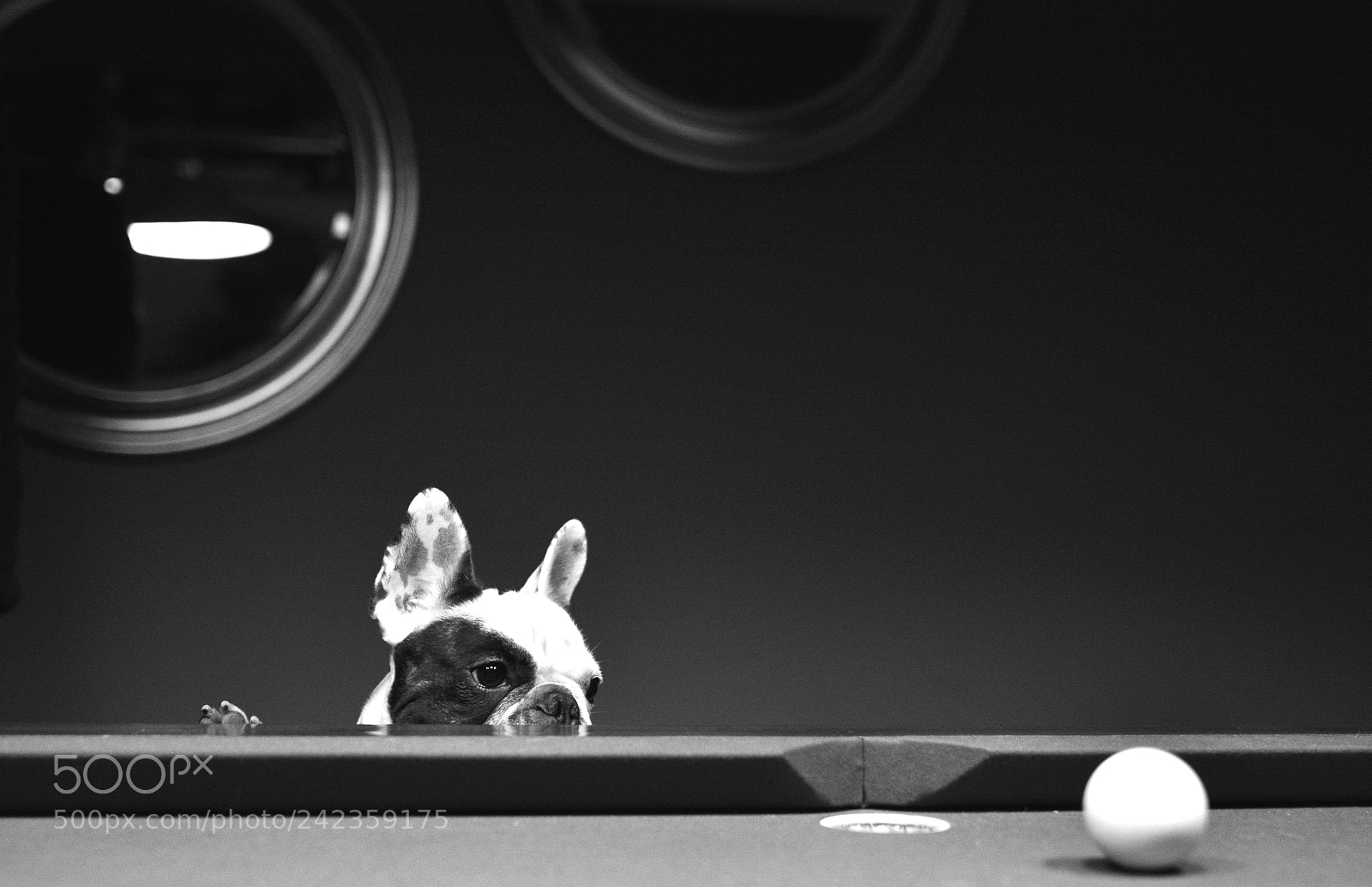 Nikon D7100 sample photo. T'es vraiment trop petit photography