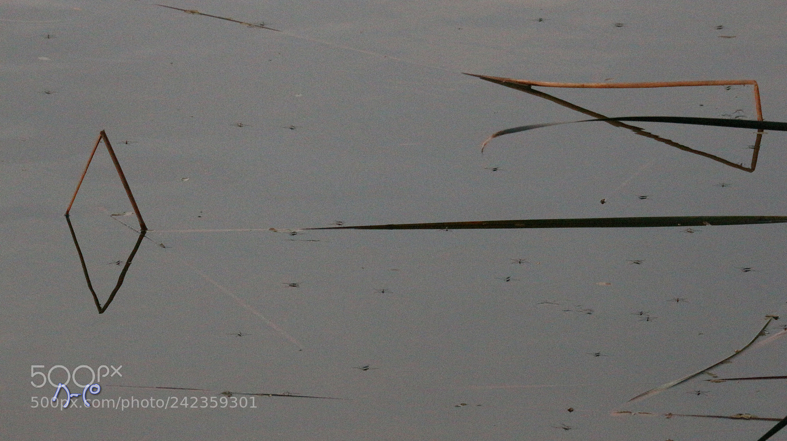 Canon EOS M10 sample photo. Reflection's photography