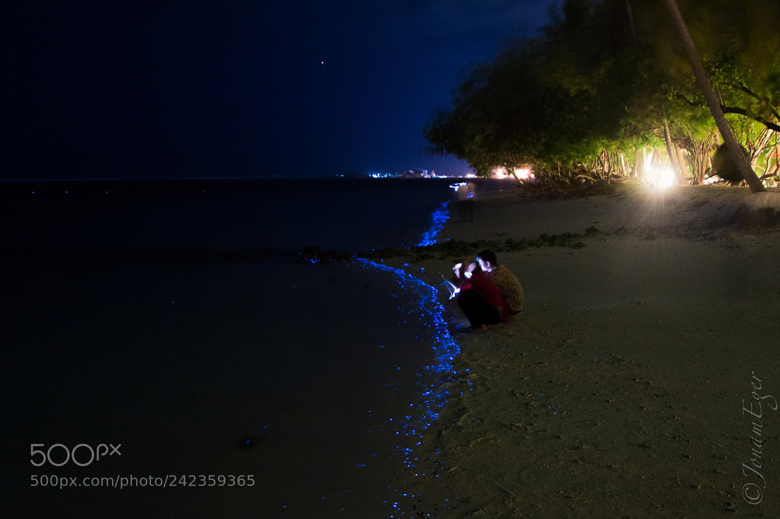Nikon D7100 sample photo. Watching bioluminescent phytoplankton photography