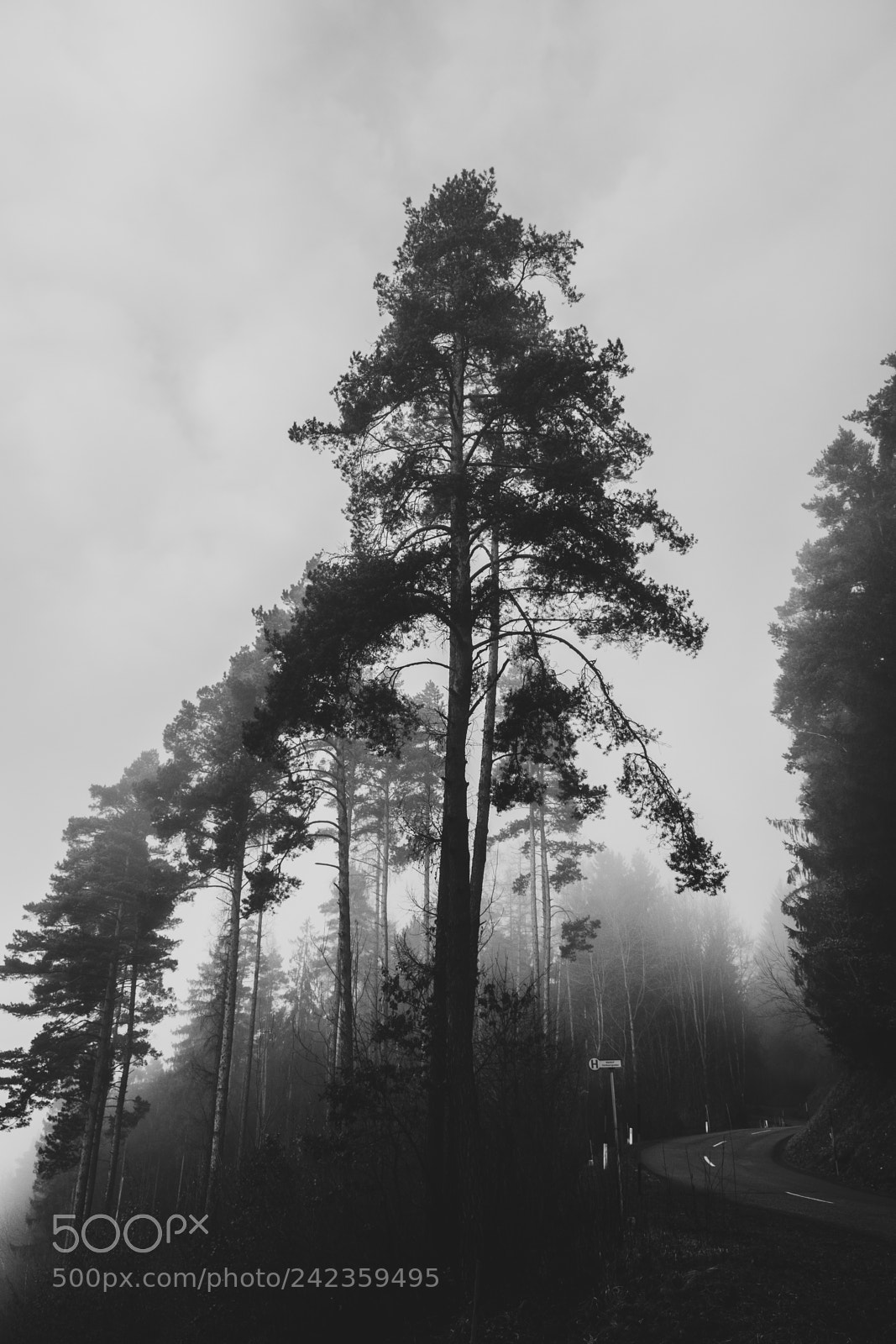 Fujifilm X-T2 sample photo. On the road, part photography