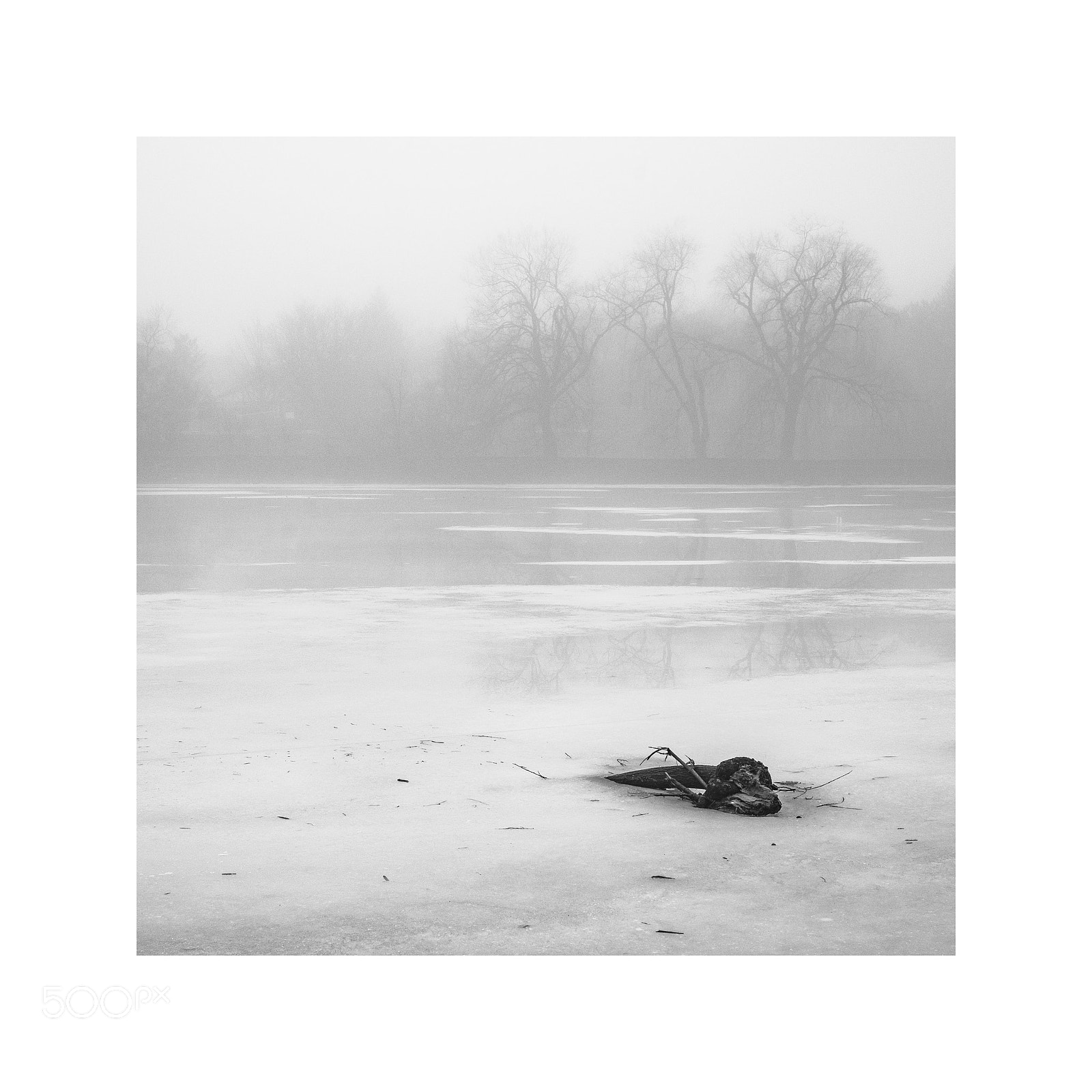 Fujifilm X-Pro2 sample photo. Misty lake photography