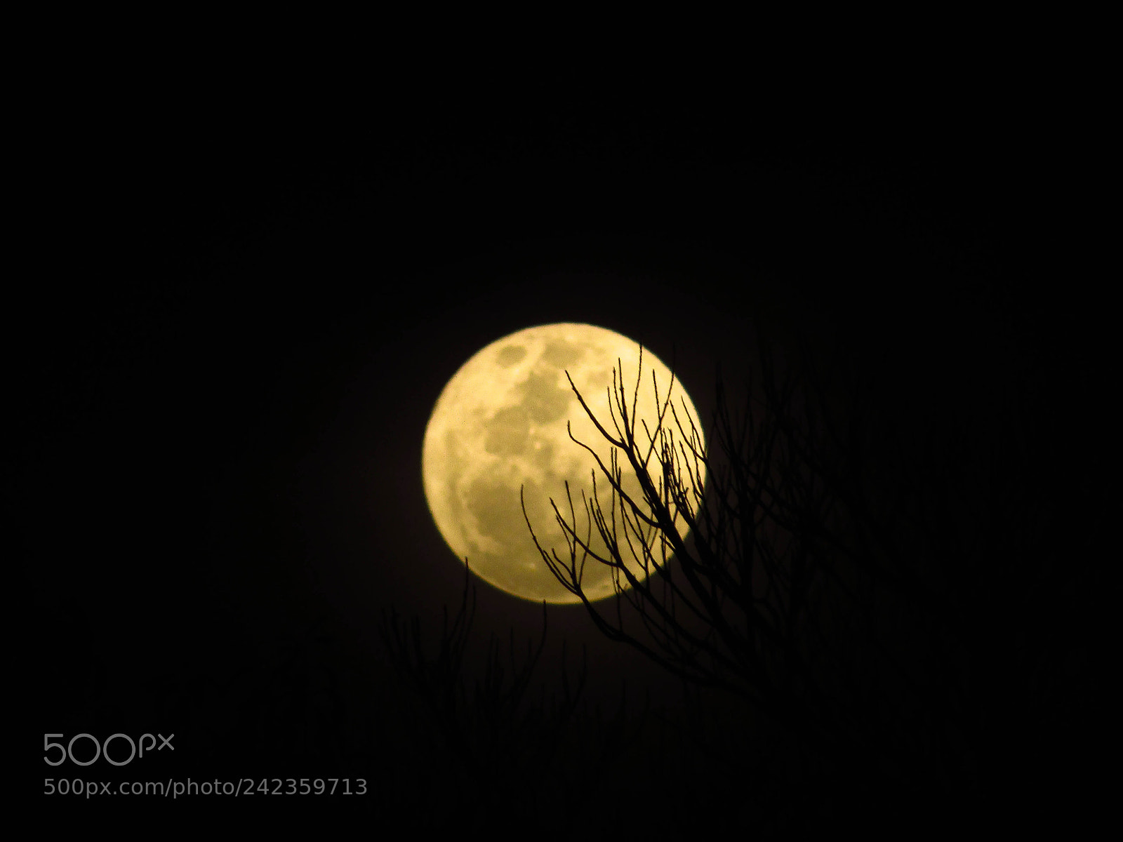 Canon PowerShot SX400 IS sample photo. Dark moon photography