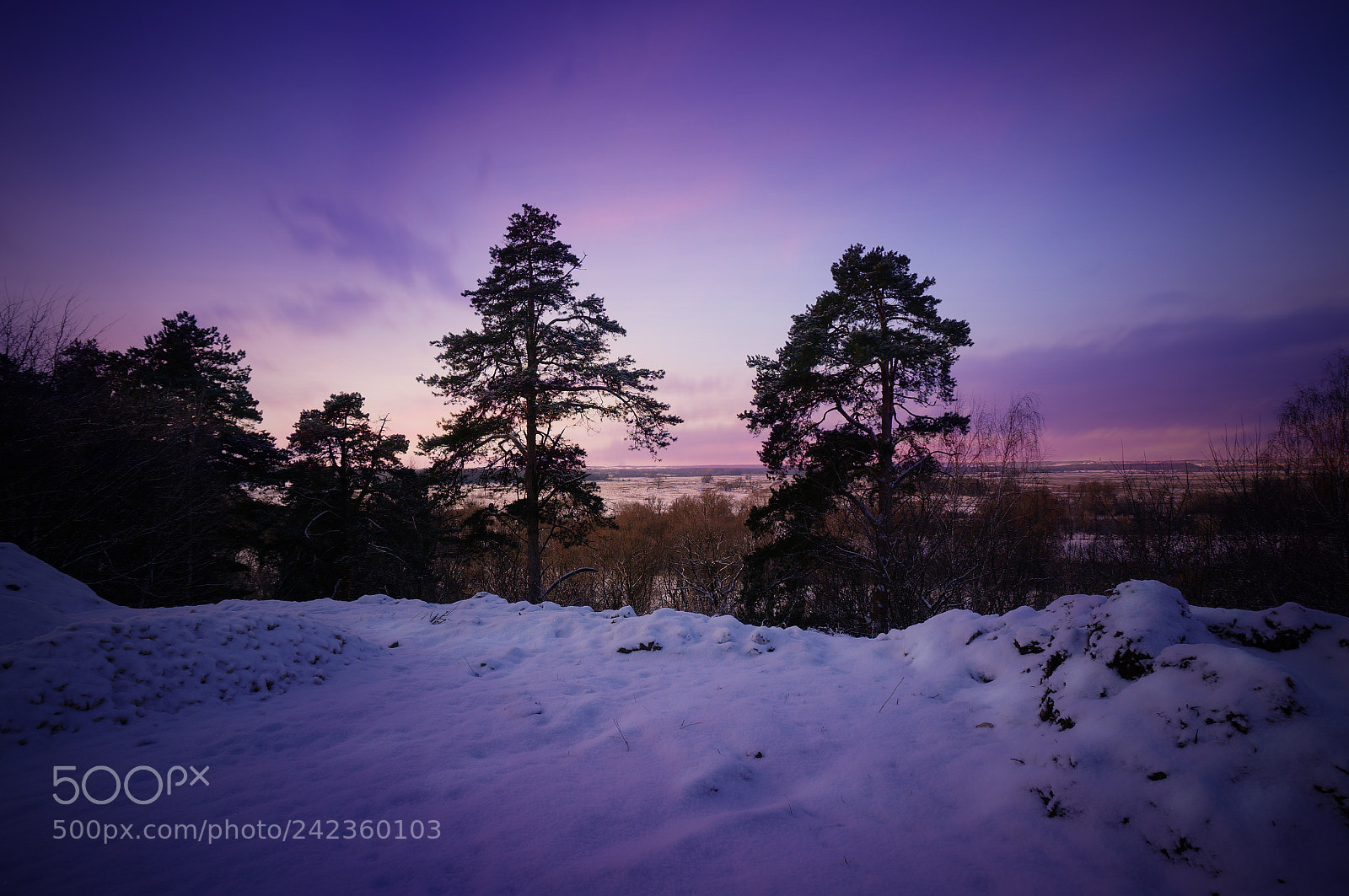 Sony Alpha NEX-6 sample photo. Winter evening photography