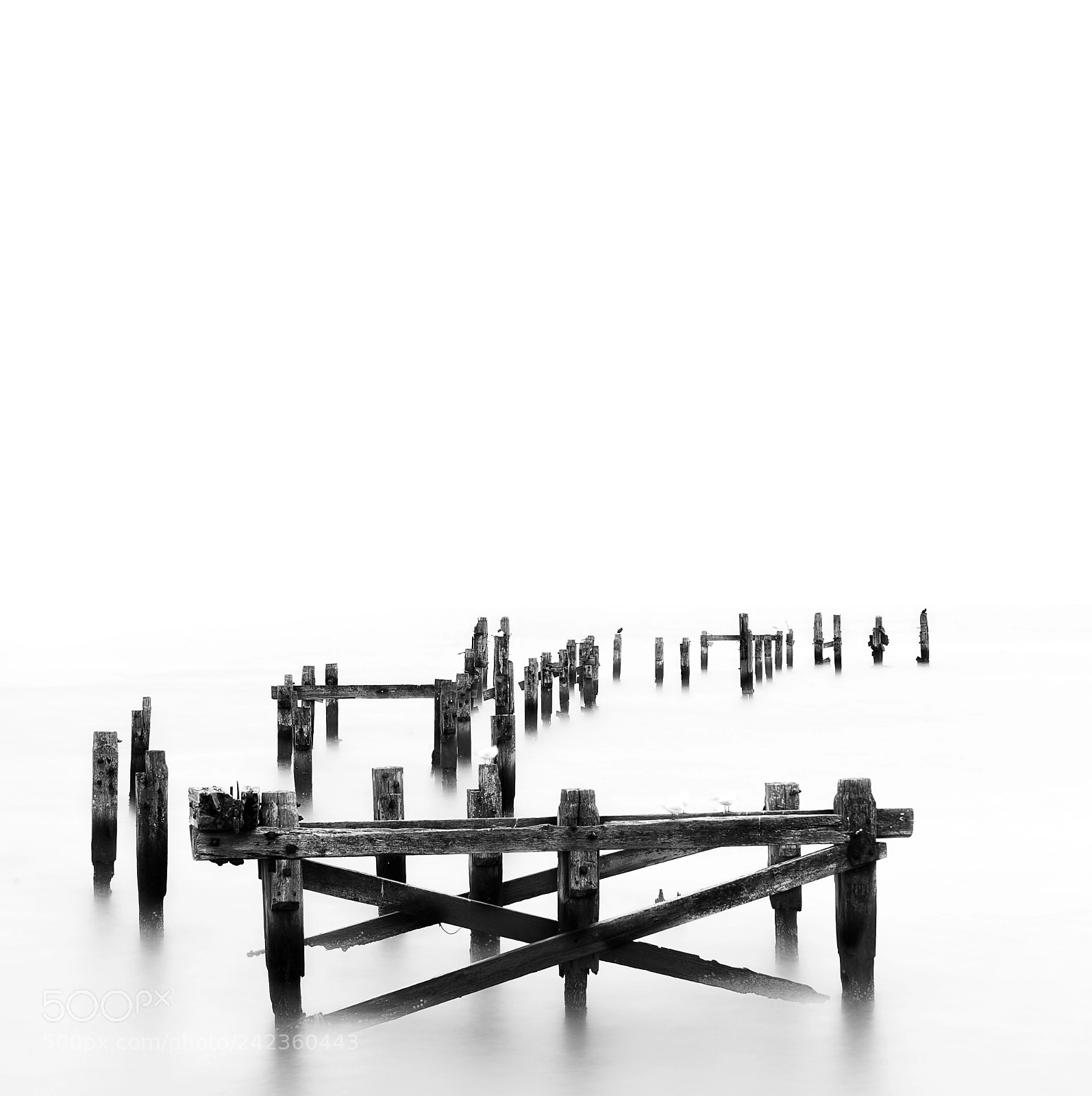 Nikon D7200 sample photo. Swanage old pier photography