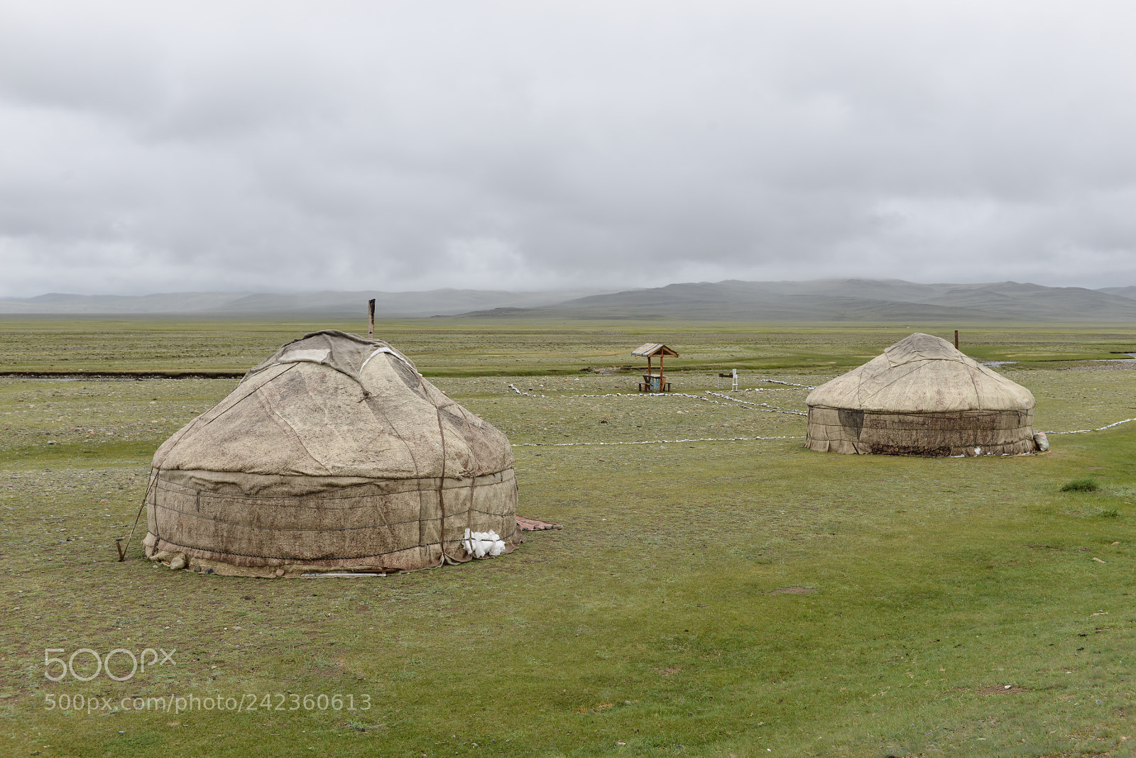 Nikon D800E sample photo. Altai photography