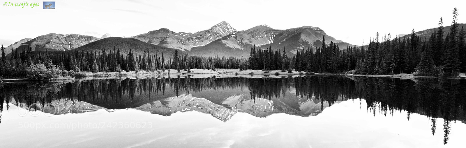 Nikon D500 sample photo. Peaceful, canada photography