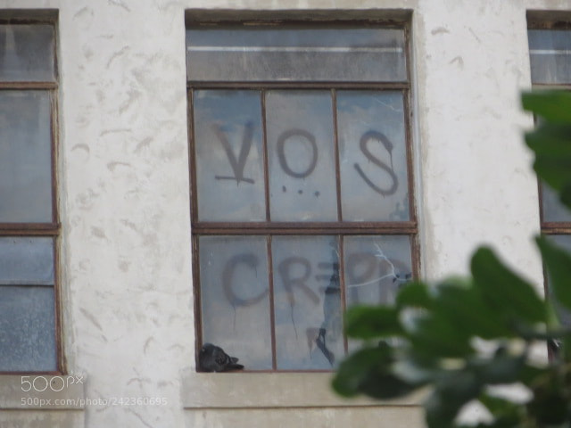 Canon PowerShot SX280 HS sample photo. Img photography