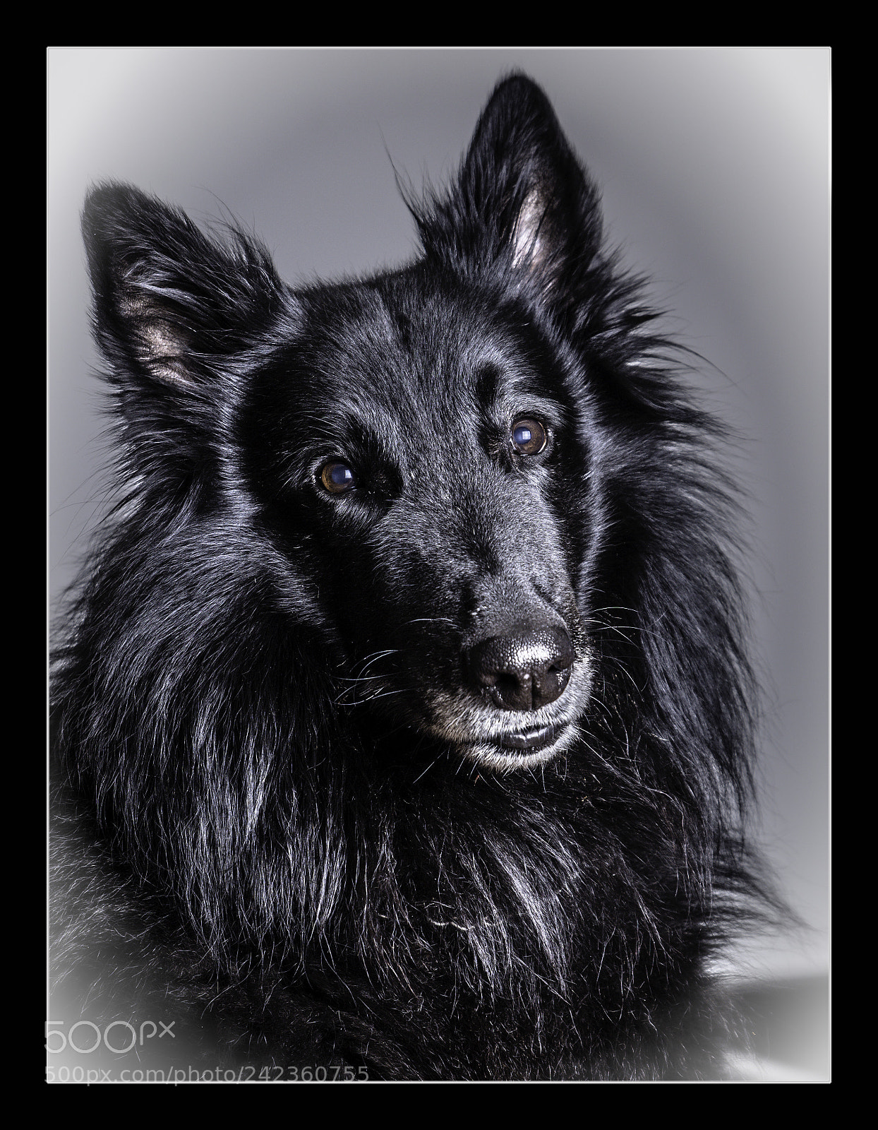 Nikon D7200 sample photo. Nero photography
