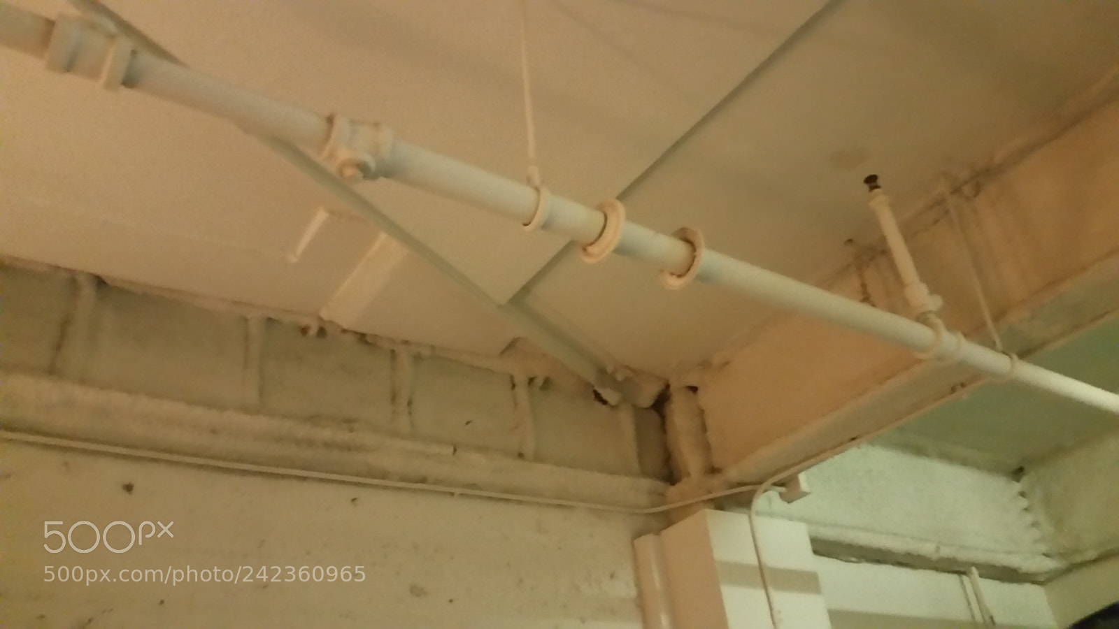 Samsung Galaxy S5 sample photo. 20160728_203512.jpg photography