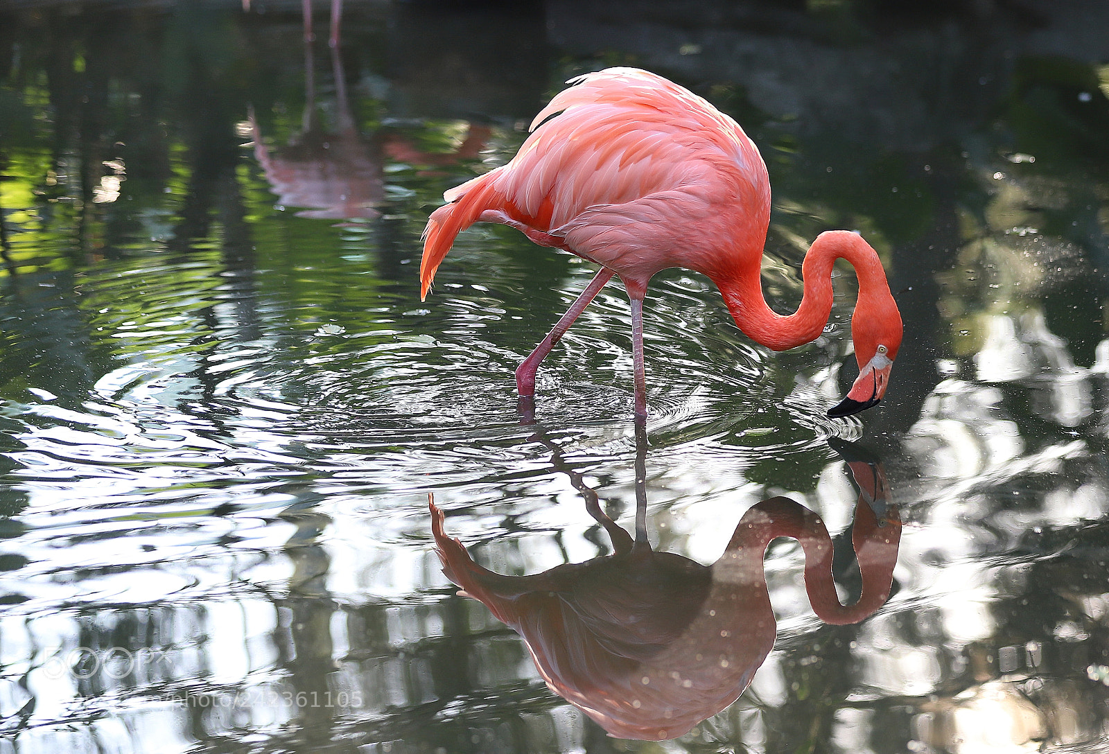 Canon EOS 6D Mark II sample photo. Img photography