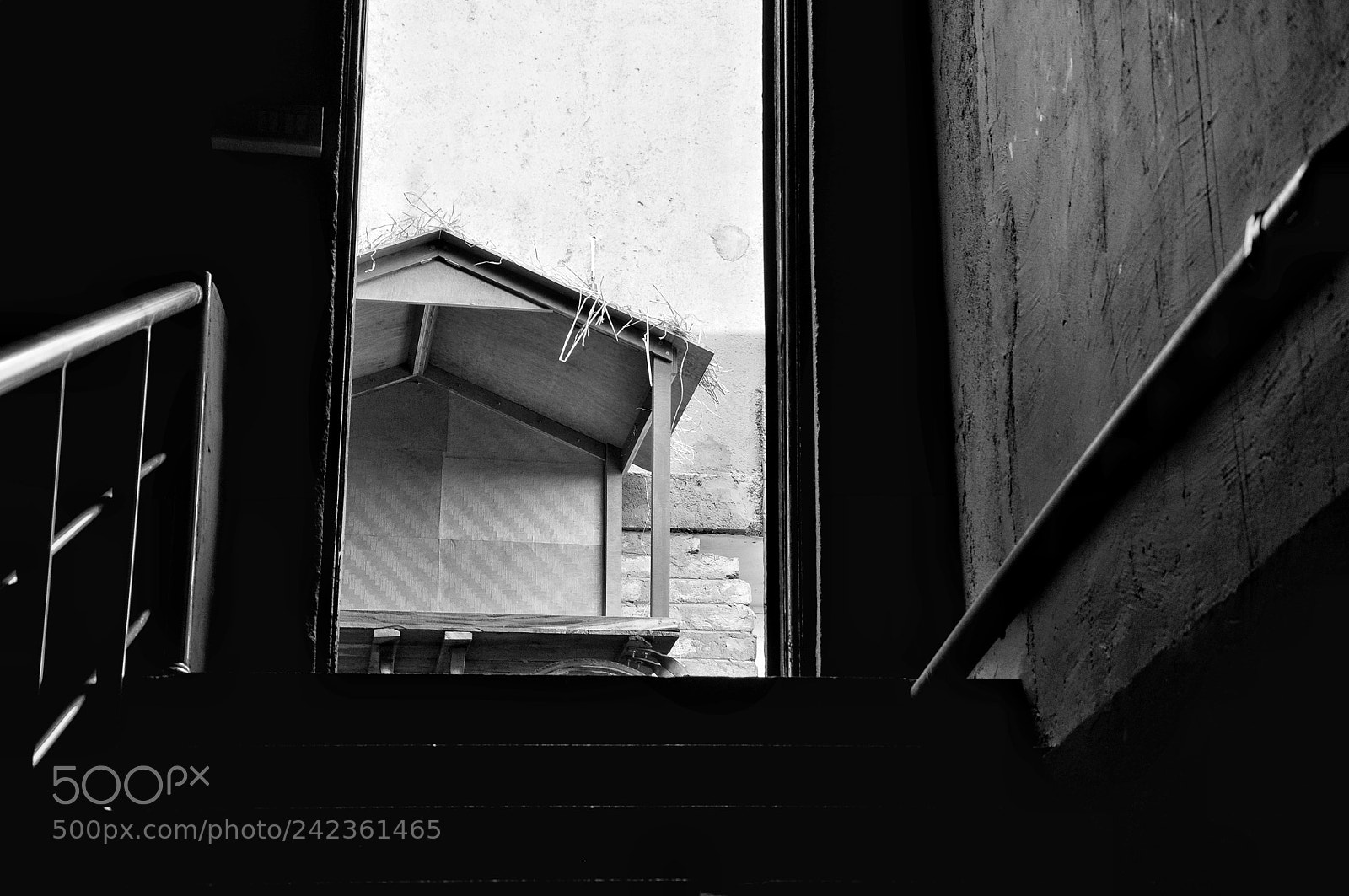 Nikon D90 sample photo. Untitled photography