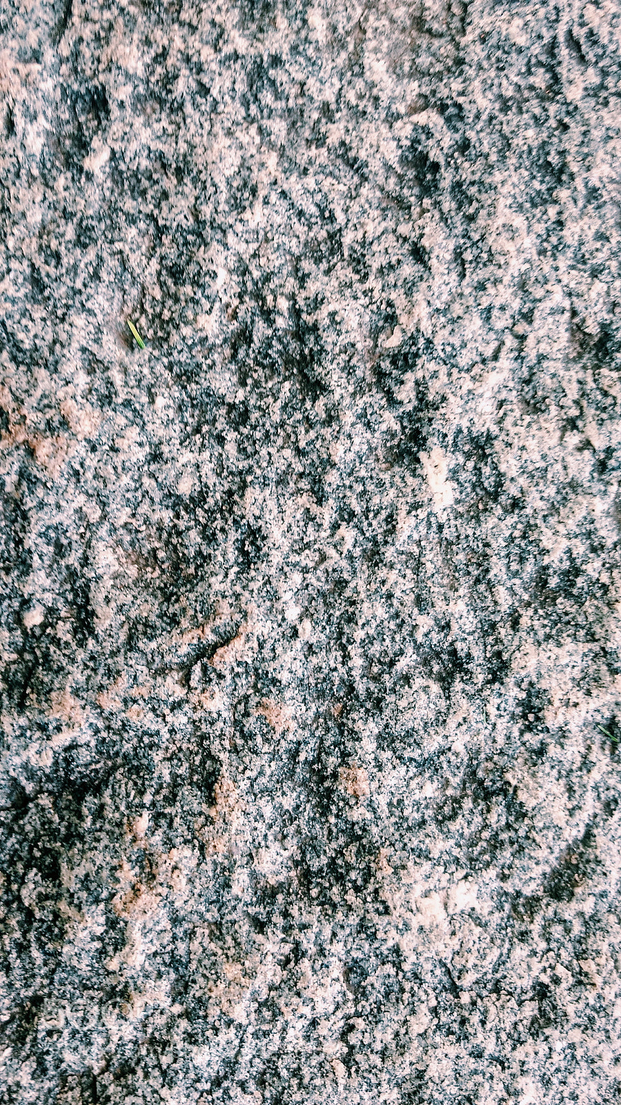 Motorola Moto Z Play sample photo. Texture  ii photography
