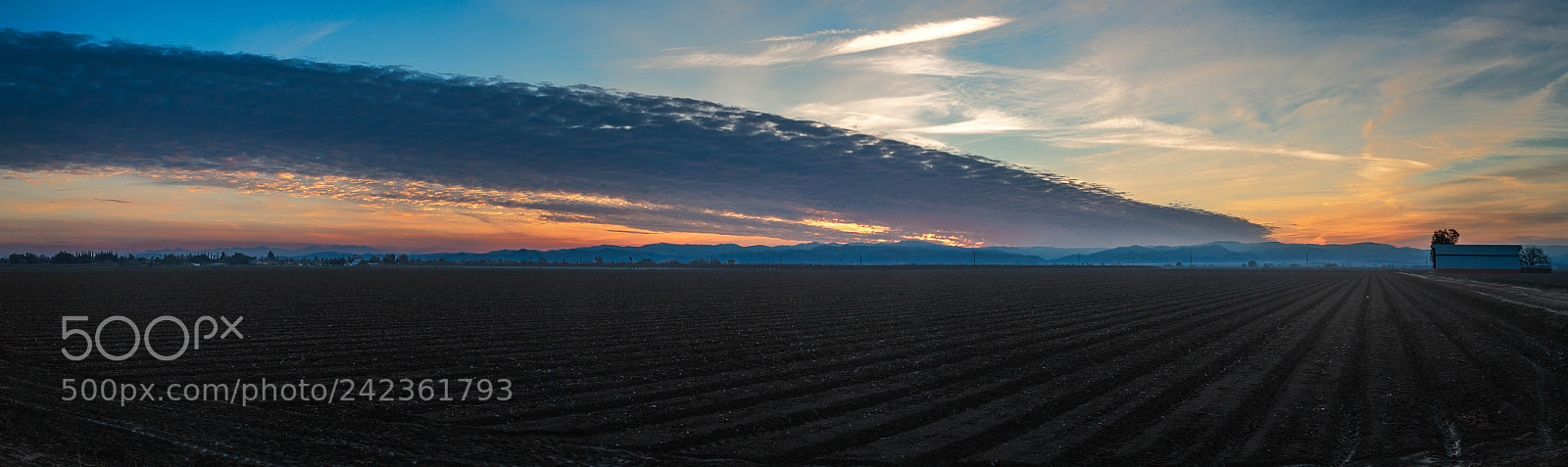 Canon EOS 6D Mark II sample photo. Newman sunset photography
