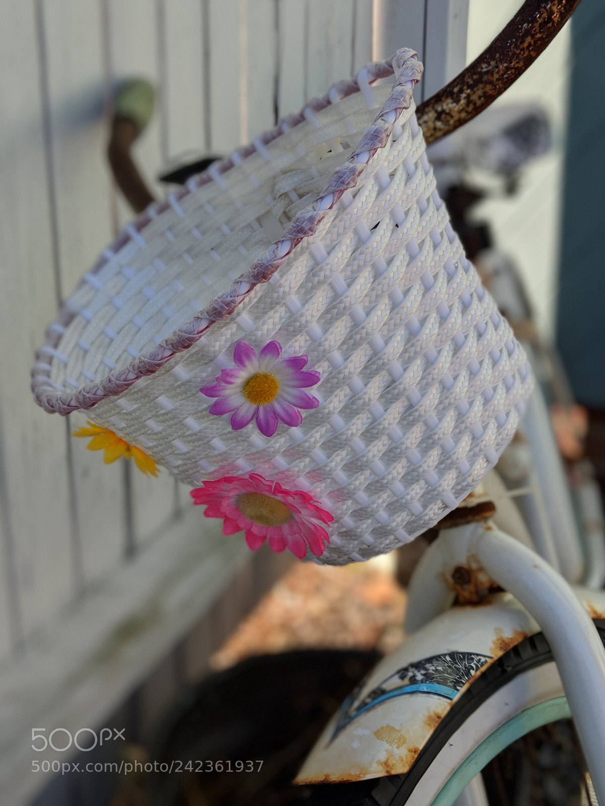 Google Pixel 2 sample photo. Flower bike photography