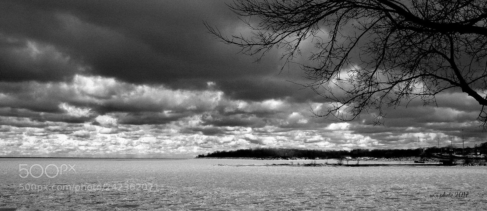 Canon EOS-1Ds Mark III sample photo. Frozen photography