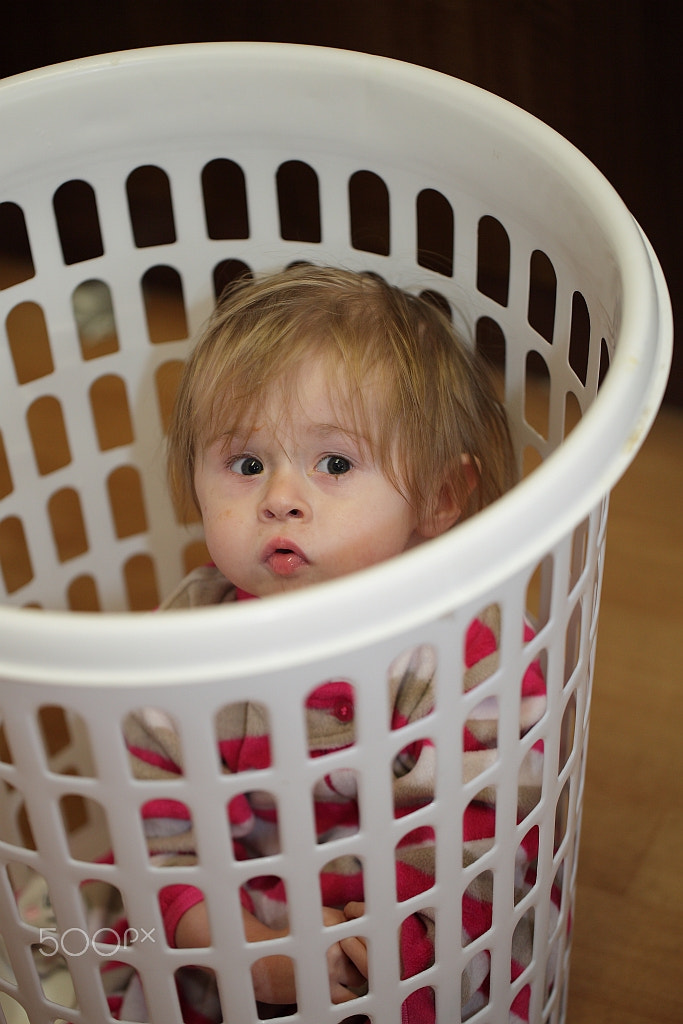 Canon EF 100mm F2.8L Macro IS USM sample photo. Kate in a basket photography