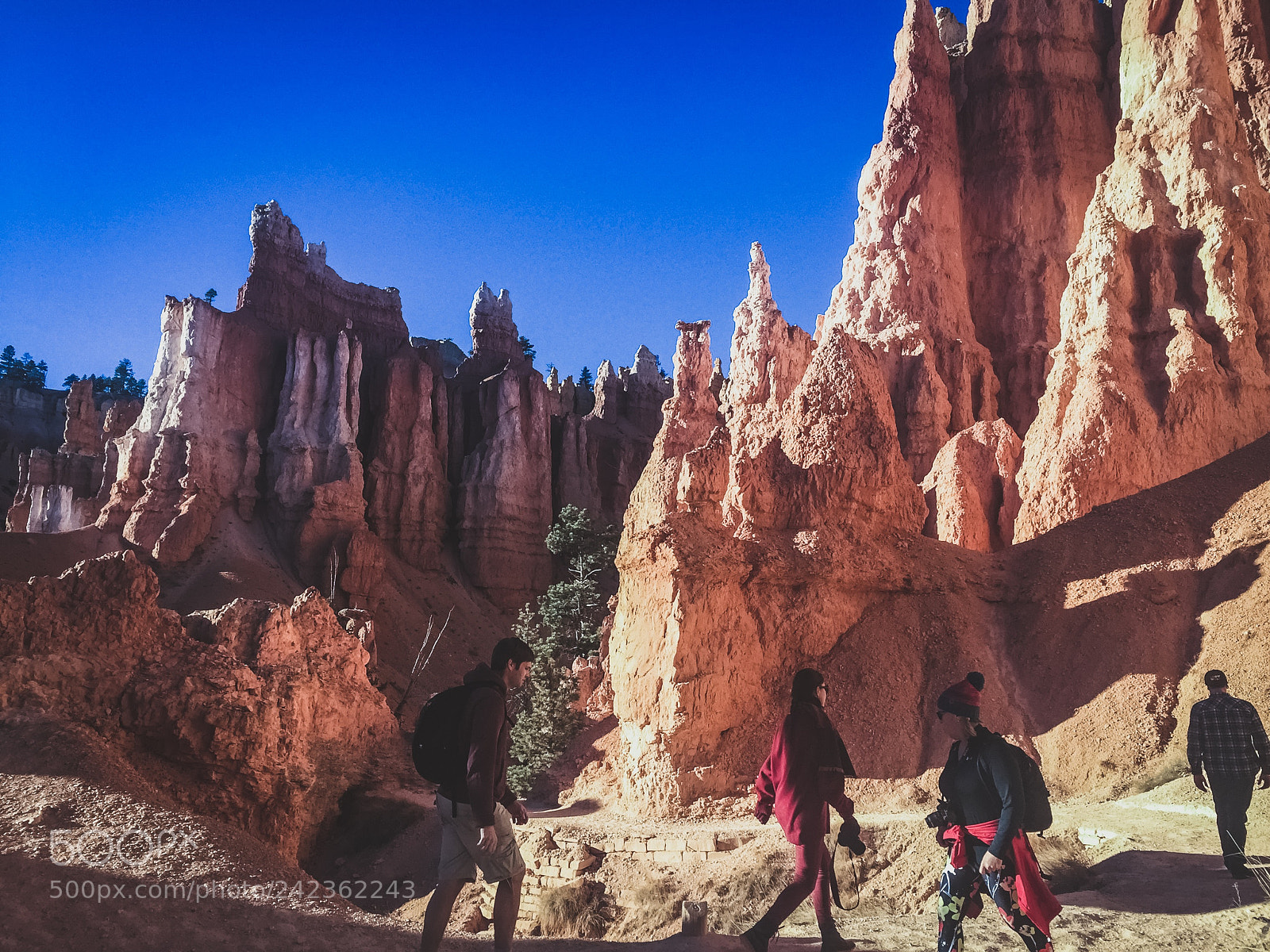 Apple iPhone 6 sample photo. Bryce canyon utah photography