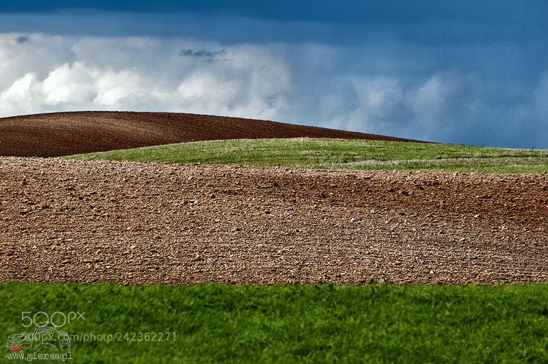 Nikon D700 sample photo. Spring fields photography