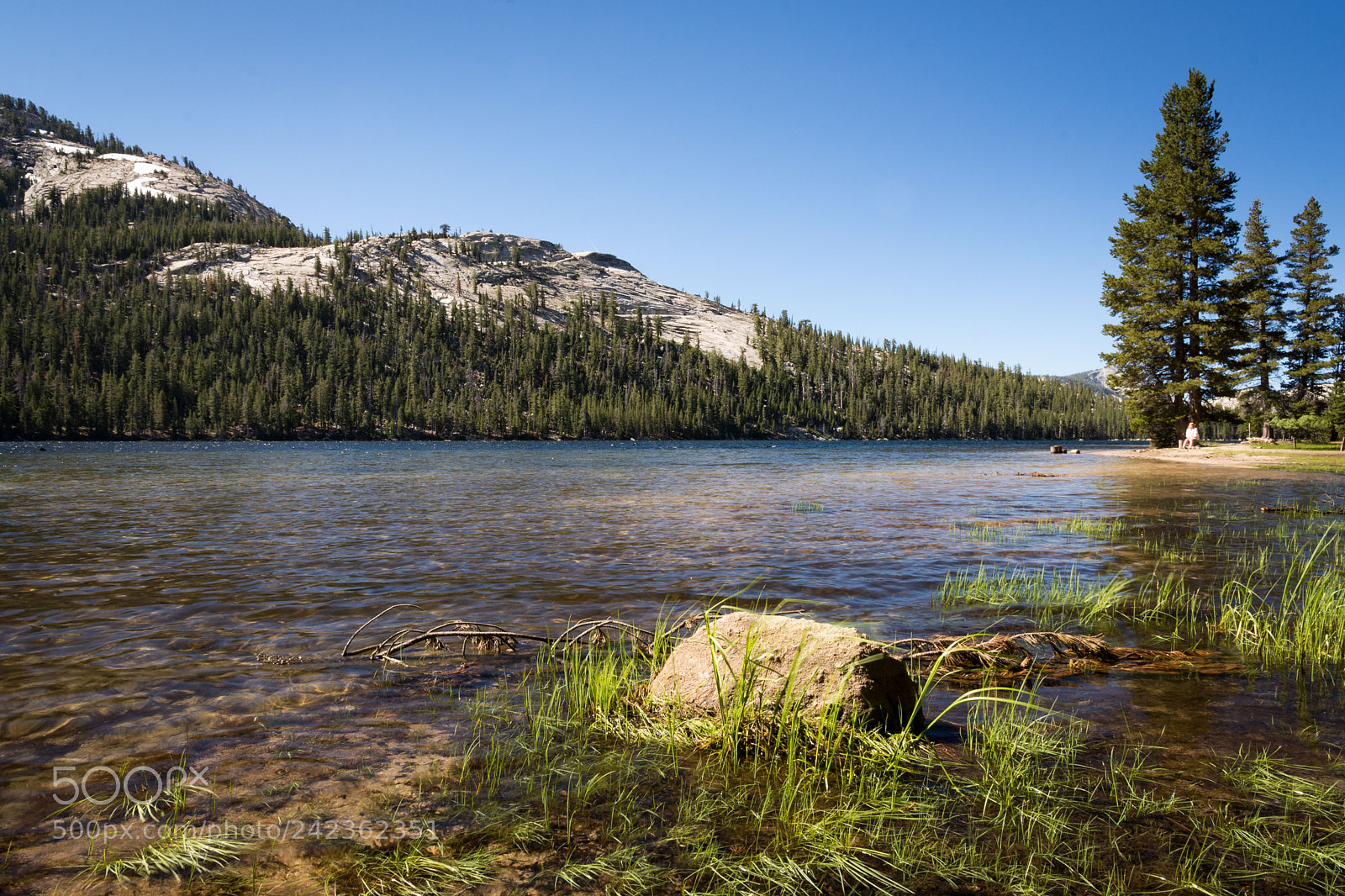 Nikon D7200 sample photo. A spot for a photography