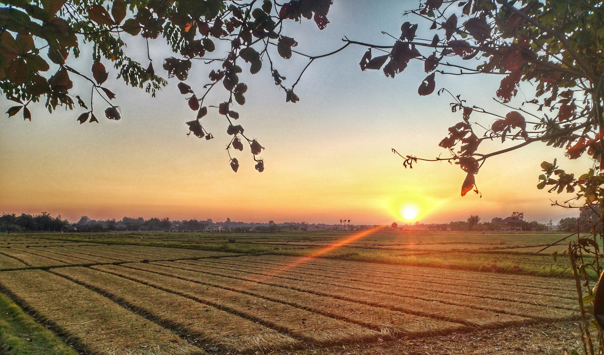 Xiaomi MI 5s Plus sample photo. Sunset photography