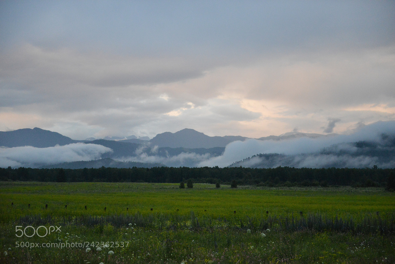 Nikon D800E sample photo. Altai photography