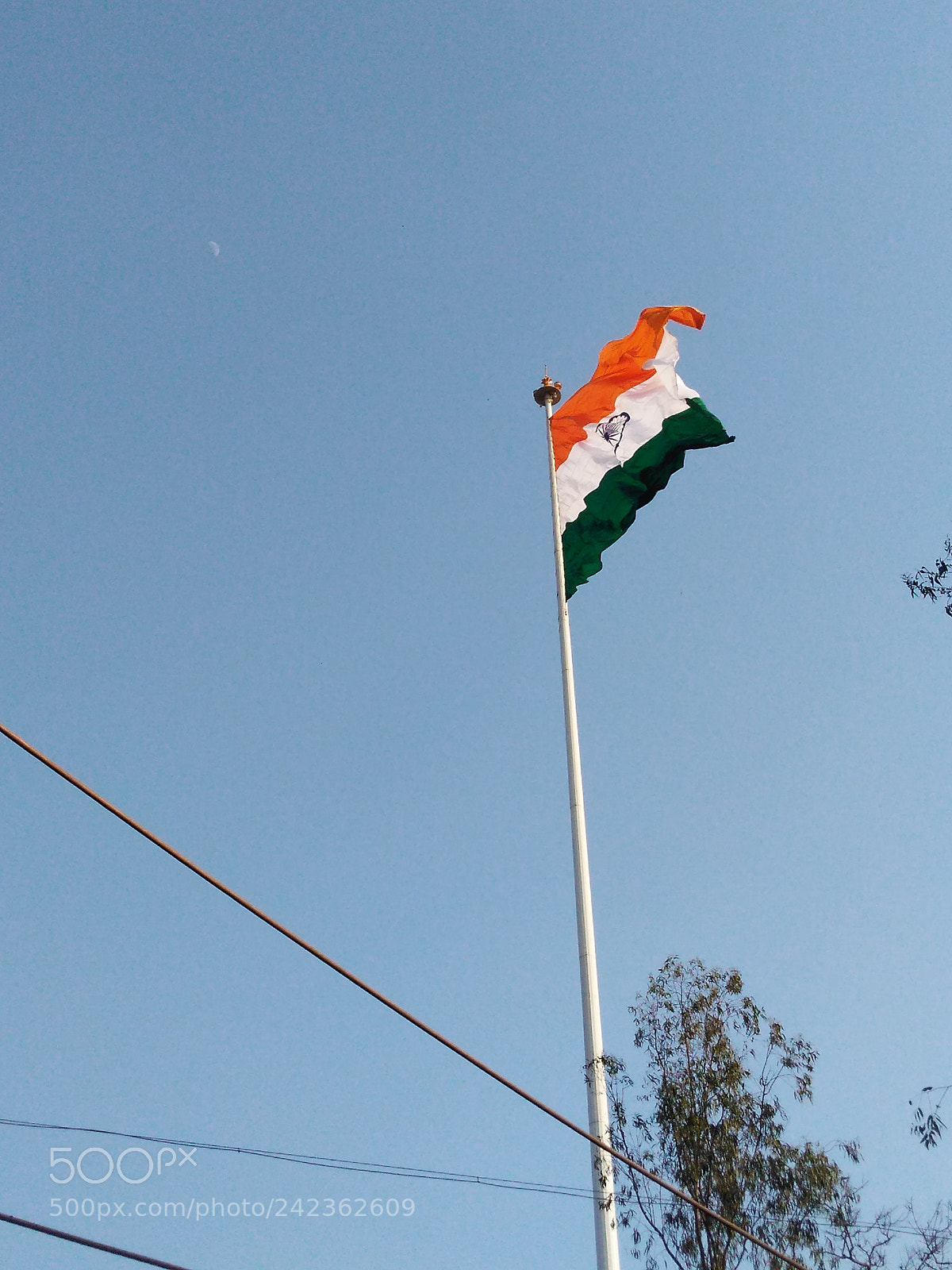 Motorola Moto G Play sample photo. Untitled photography